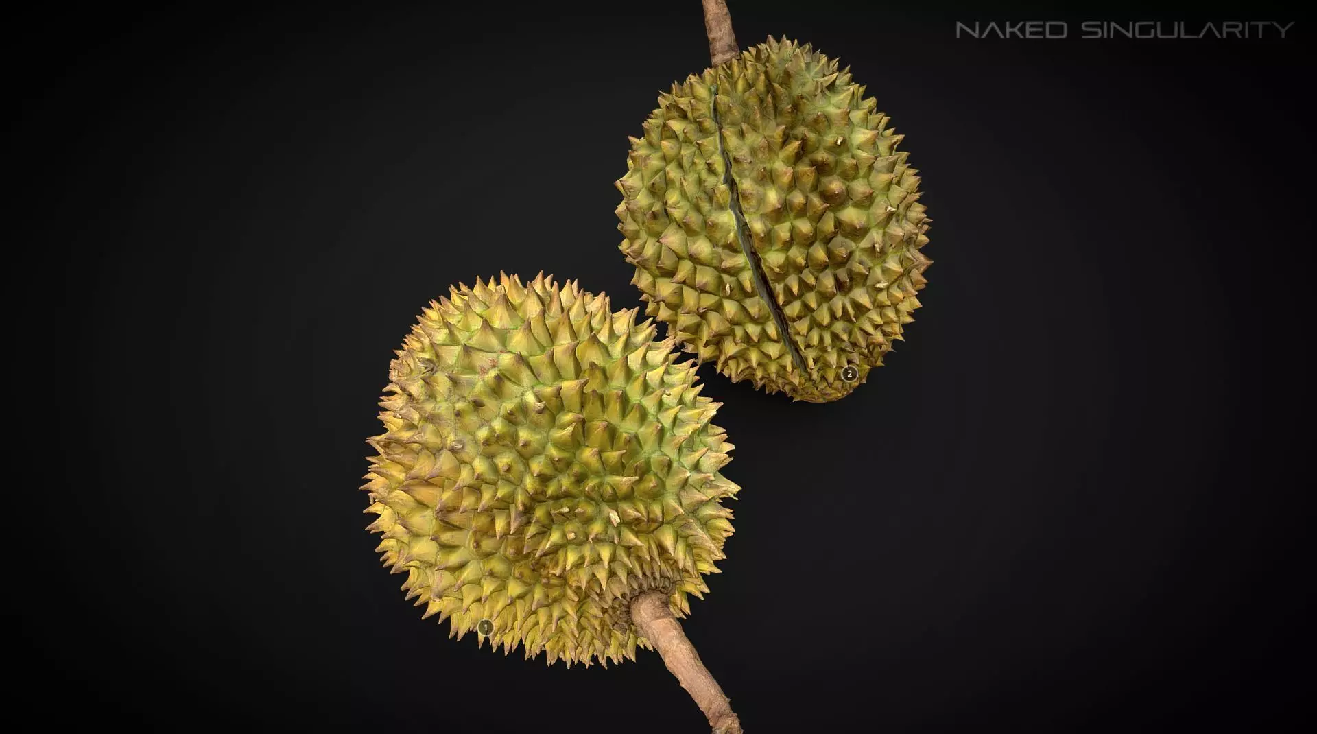 3D Scan fruit - Durian photogrammetry 4K Low-poly 3D model