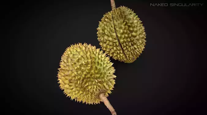3D Scan fruit - Durian photogrammetry 4K