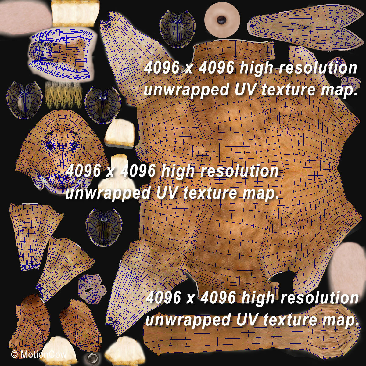 Cow Limousin 3D model_23