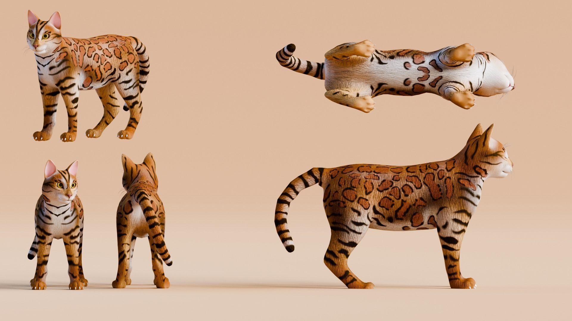 Stylized Cats - Bundle Edition Low-poly 3D model_9