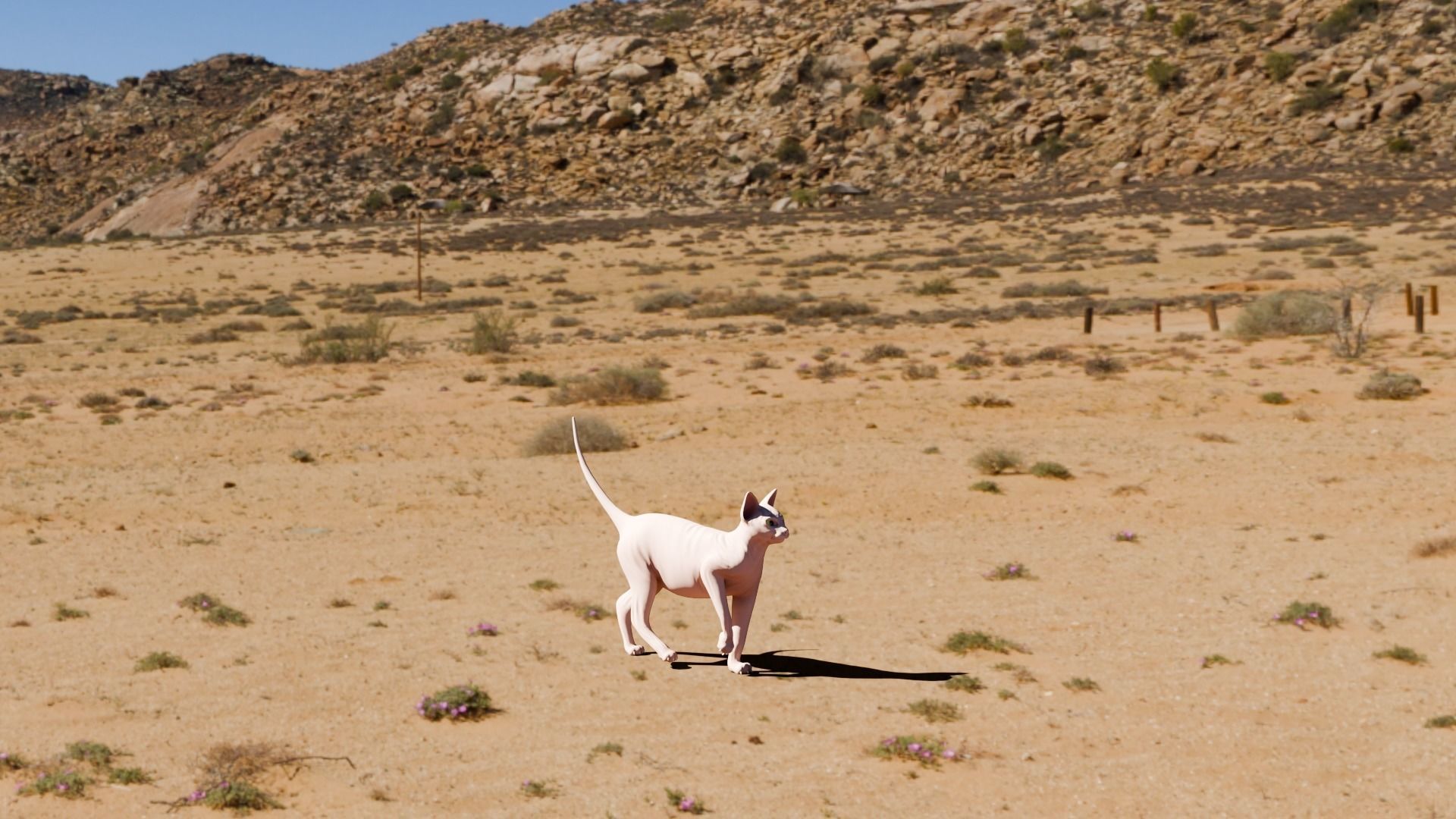 Stylized Cats - Bundle Edition Low-poly 3D model_90