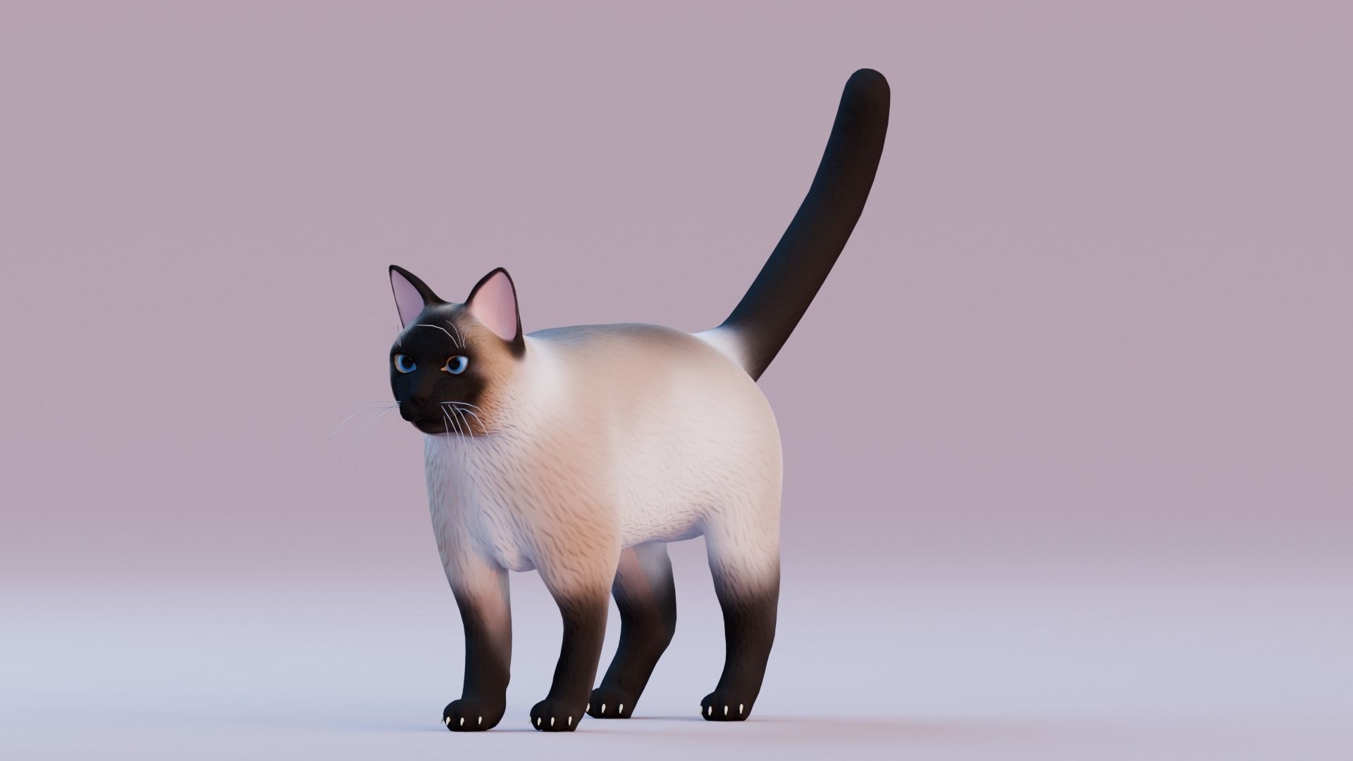 Stylized Cats - Bundle Edition Low-poly 3D model_73