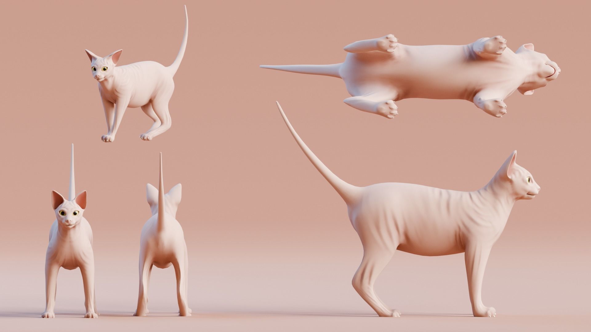 Stylized Cats - Bundle Edition Low-poly 3D model_88