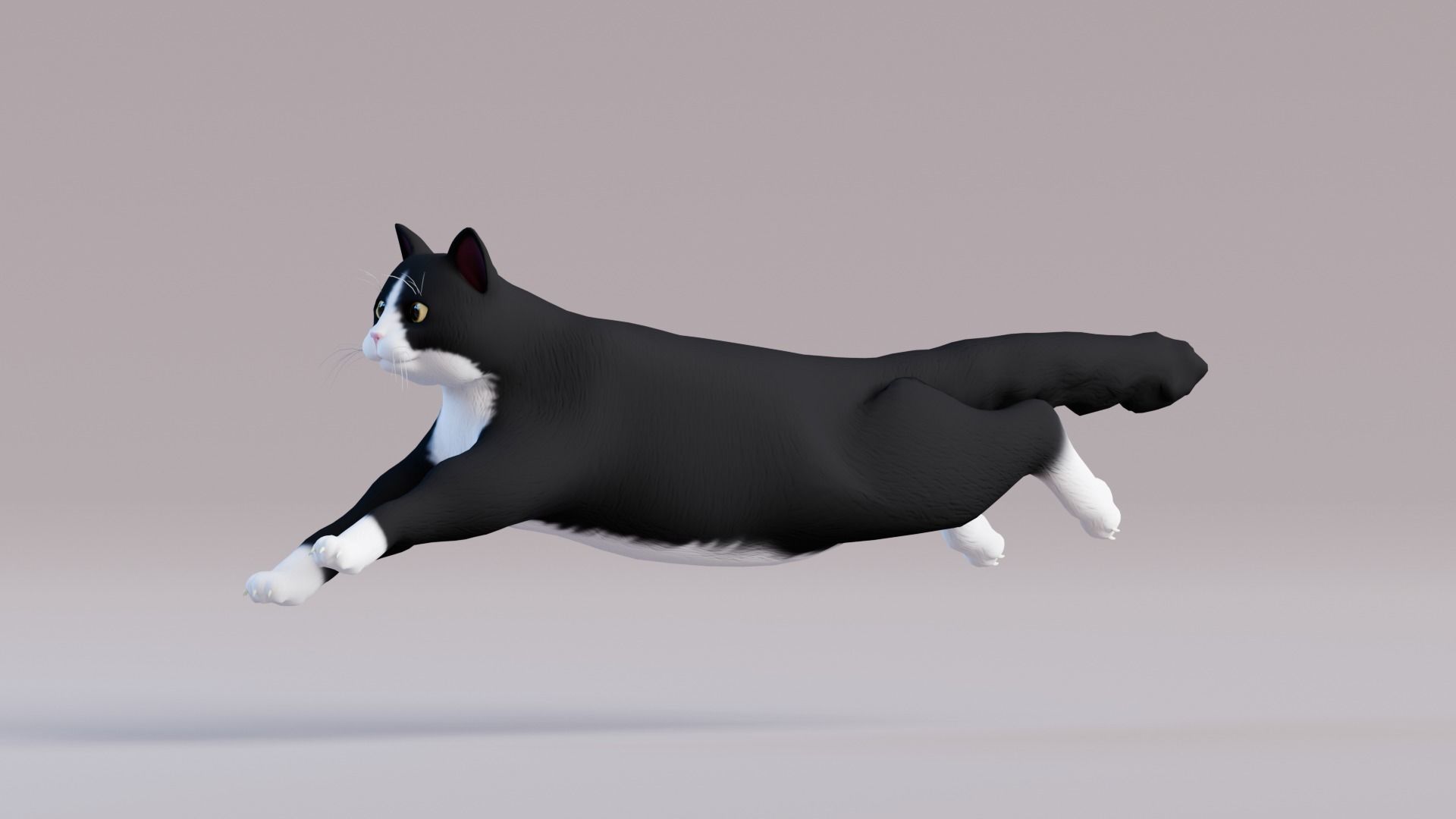 Stylized Cats - Bundle Edition Low-poly 3D model_14