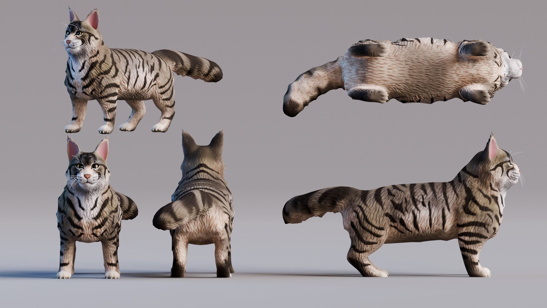 Stylized Cats - Bundle Edition Low-poly 3D model_57