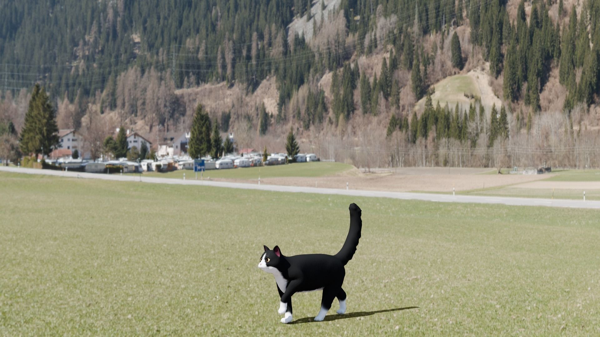 Stylized Cats - Bundle Edition Low-poly 3D model_18