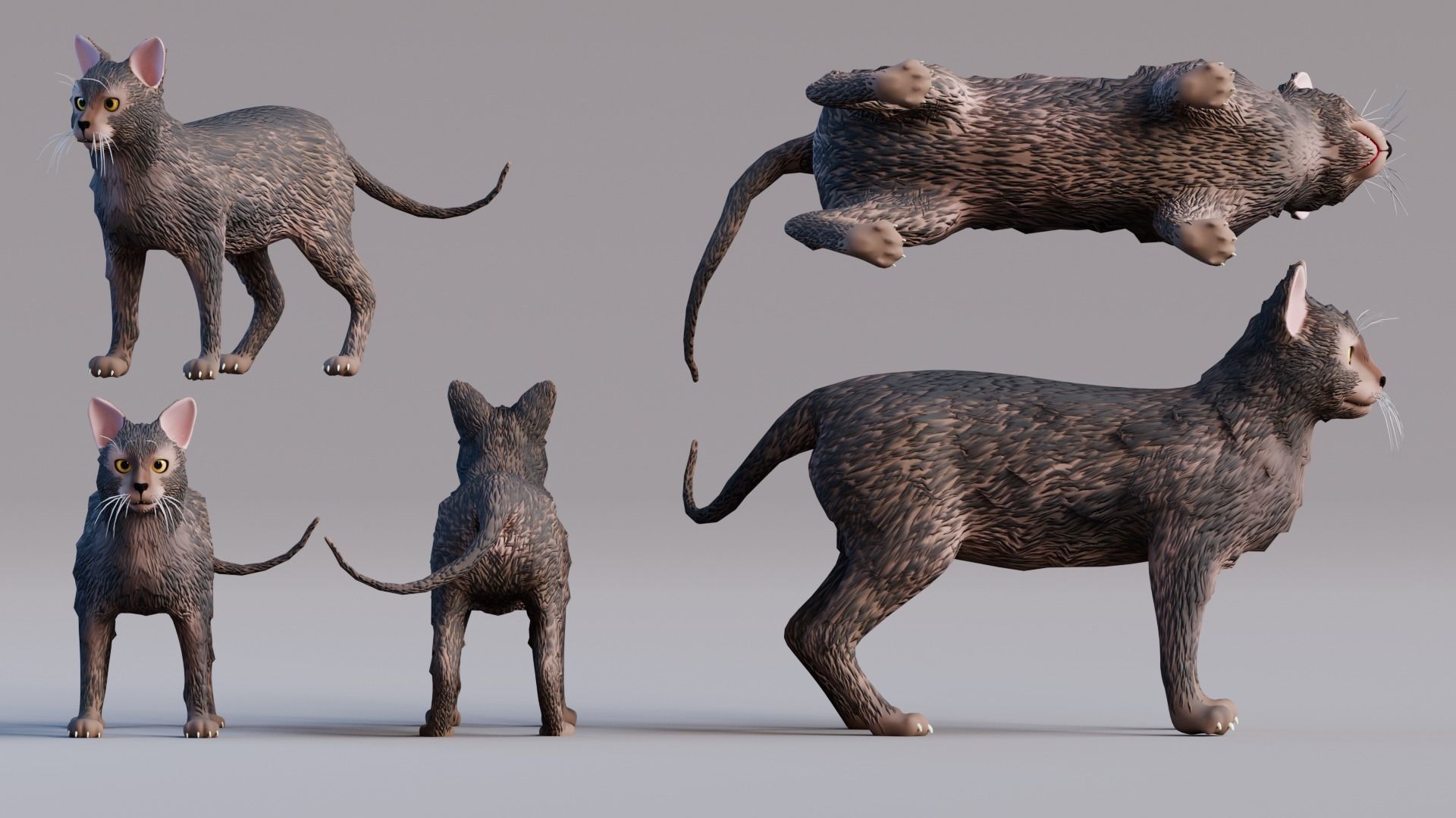 Stylized Cats - Bundle Edition Low-poly 3D model_51