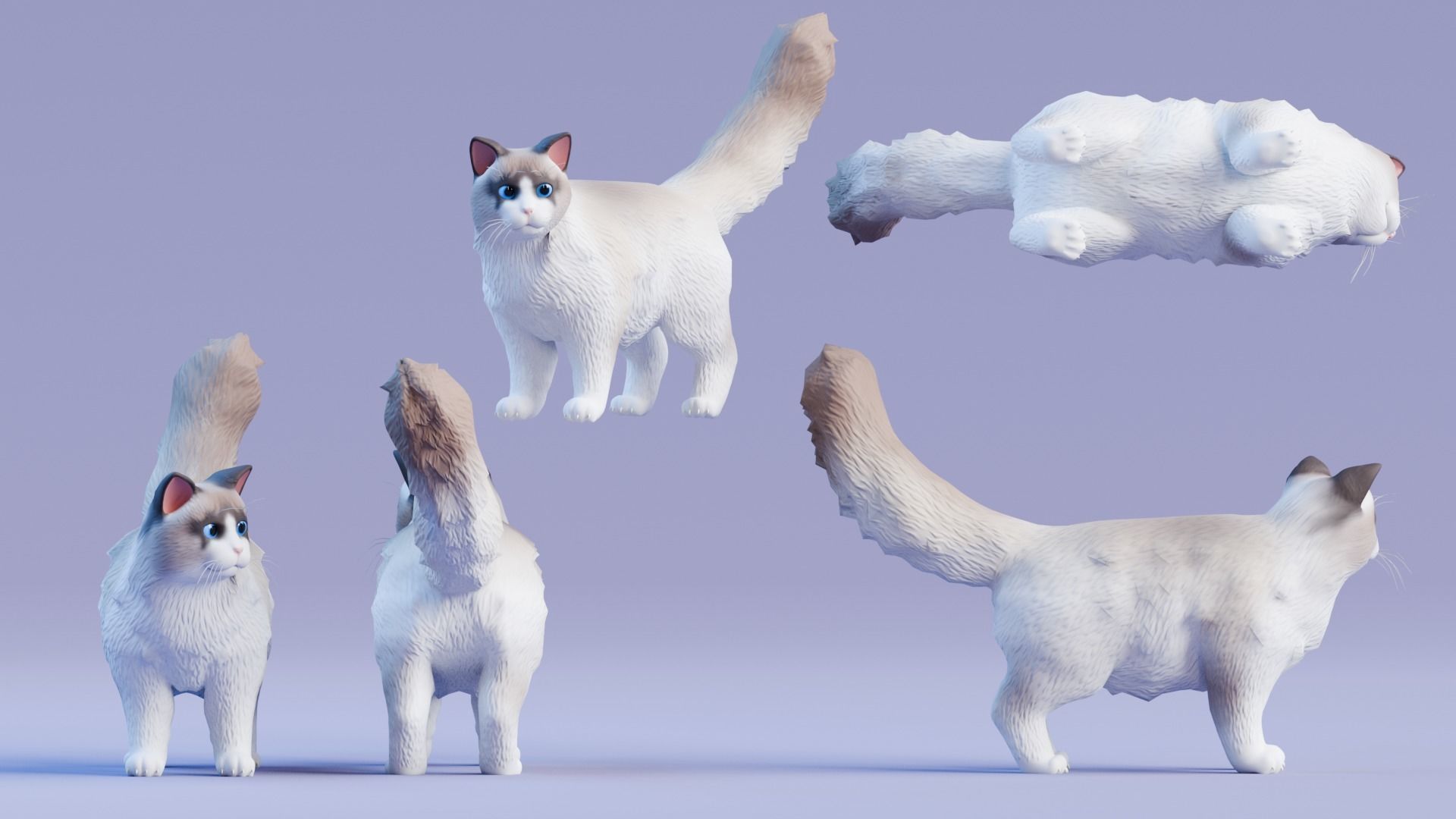 Stylized Cats - Bundle Edition Low-poly 3D model_69