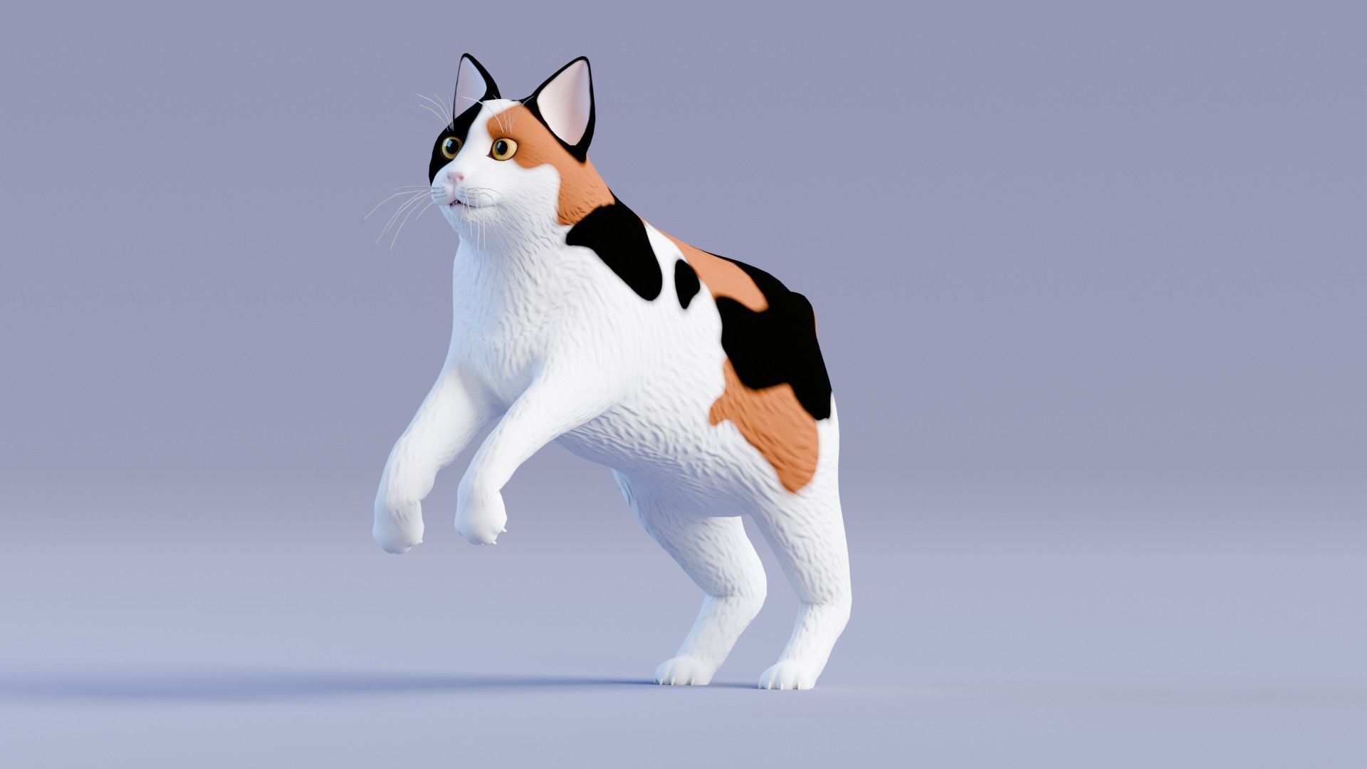 Stylized Cats - Bundle Edition Low-poly 3D model_38