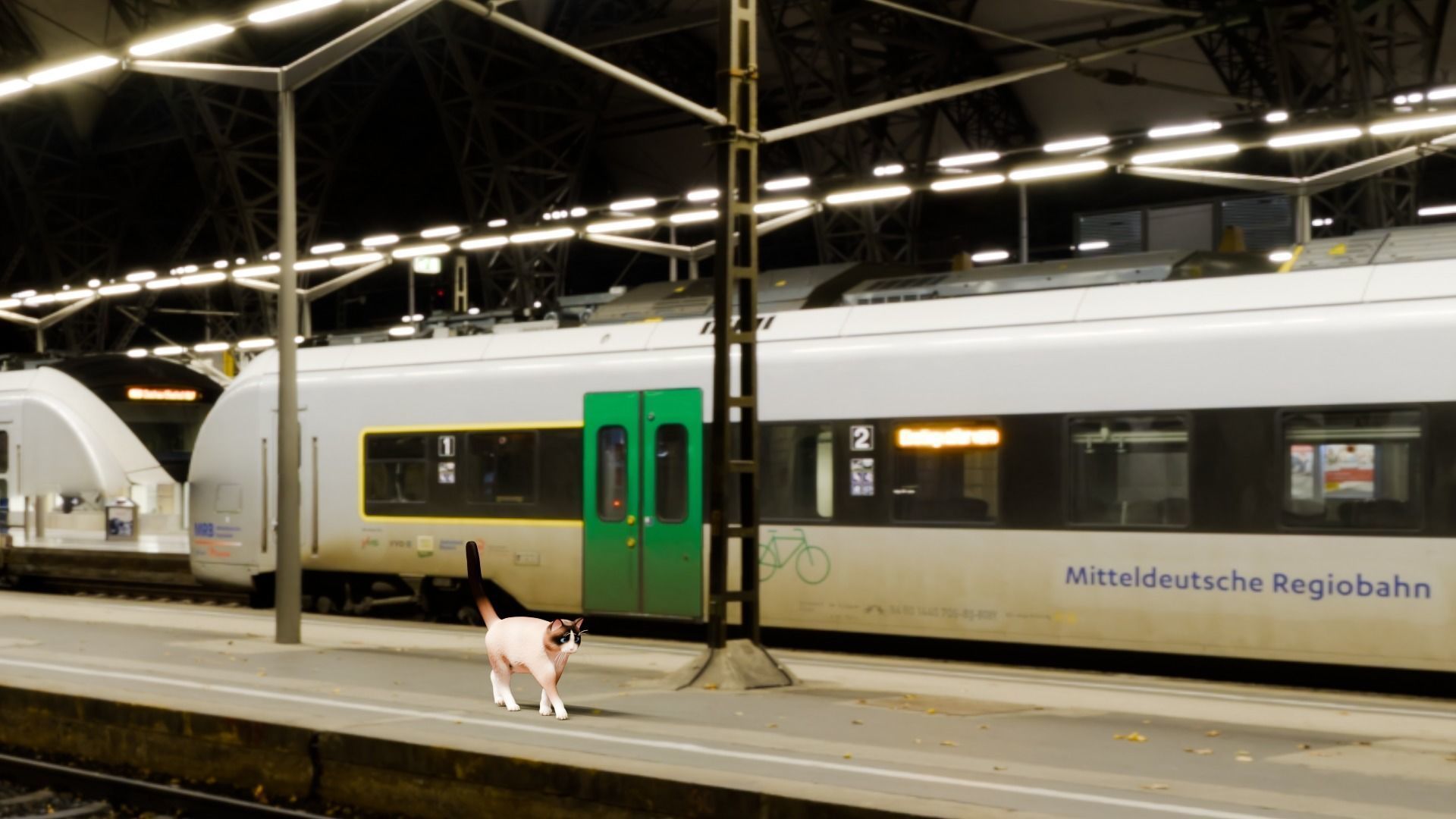 Stylized Cats - Bundle Edition Low-poly 3D model_84