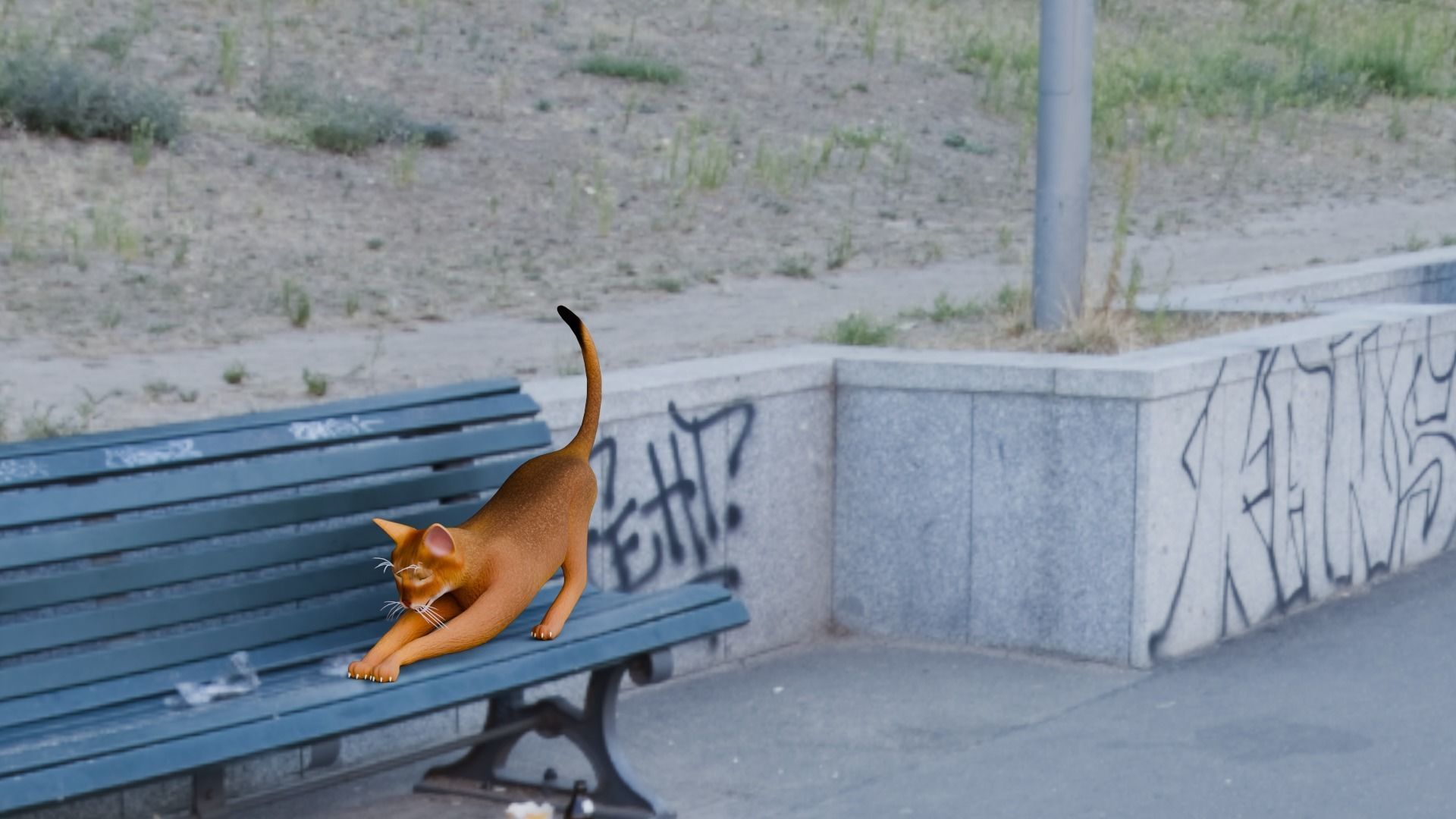 Stylized Cats - Bundle Edition Low-poly 3D model_6