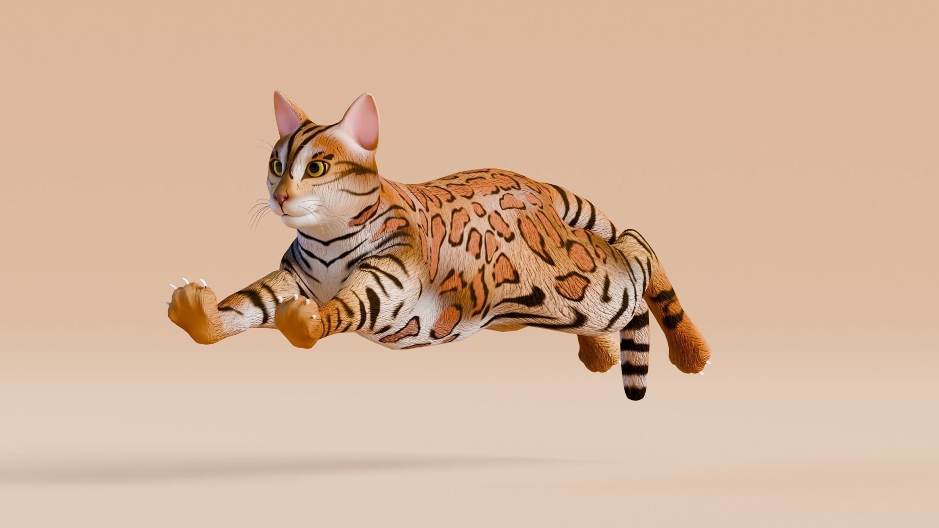 Stylized Cats - Bundle Edition Low-poly 3D model_8