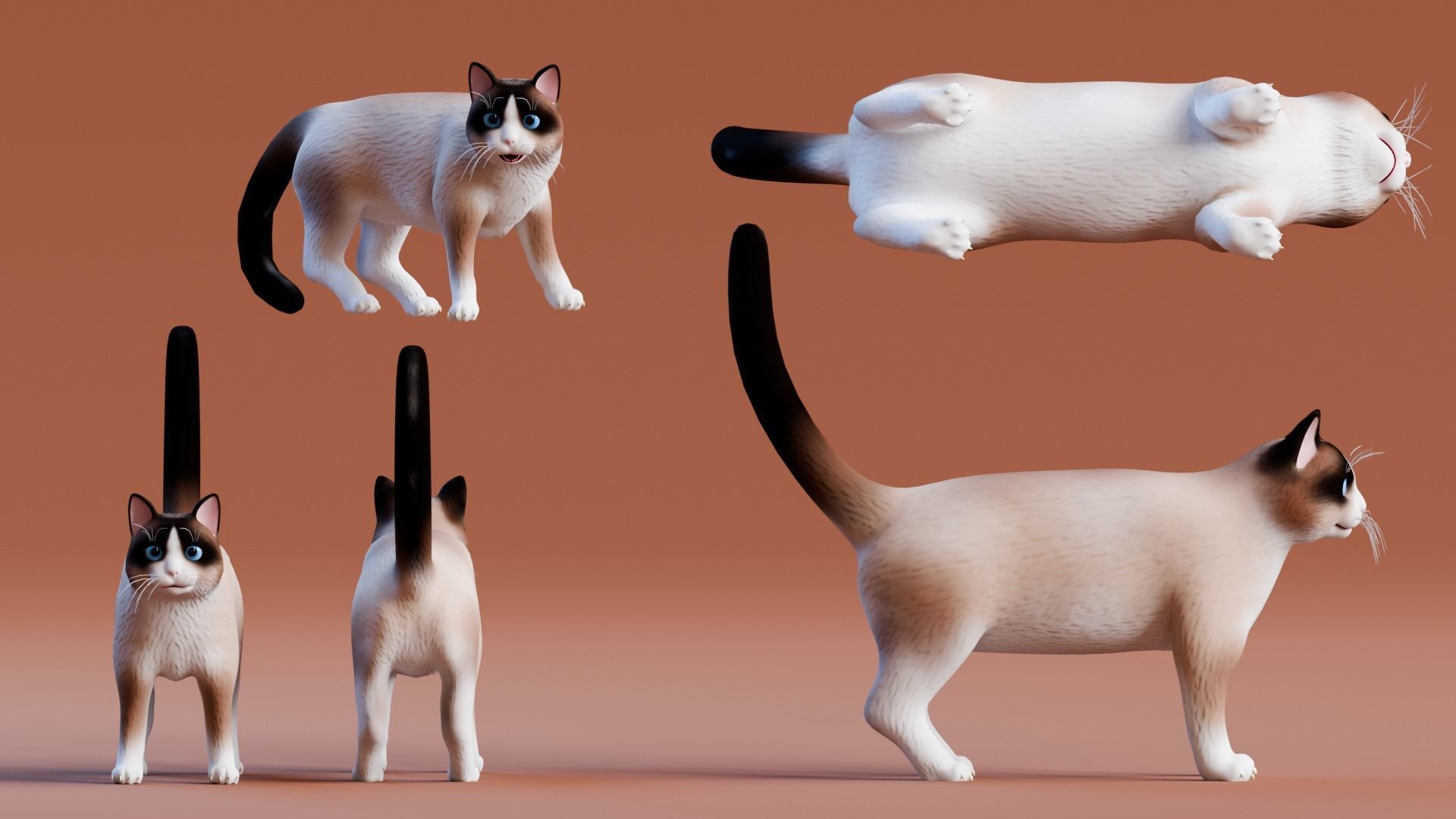 Stylized Cats - Bundle Edition Low-poly 3D model_81