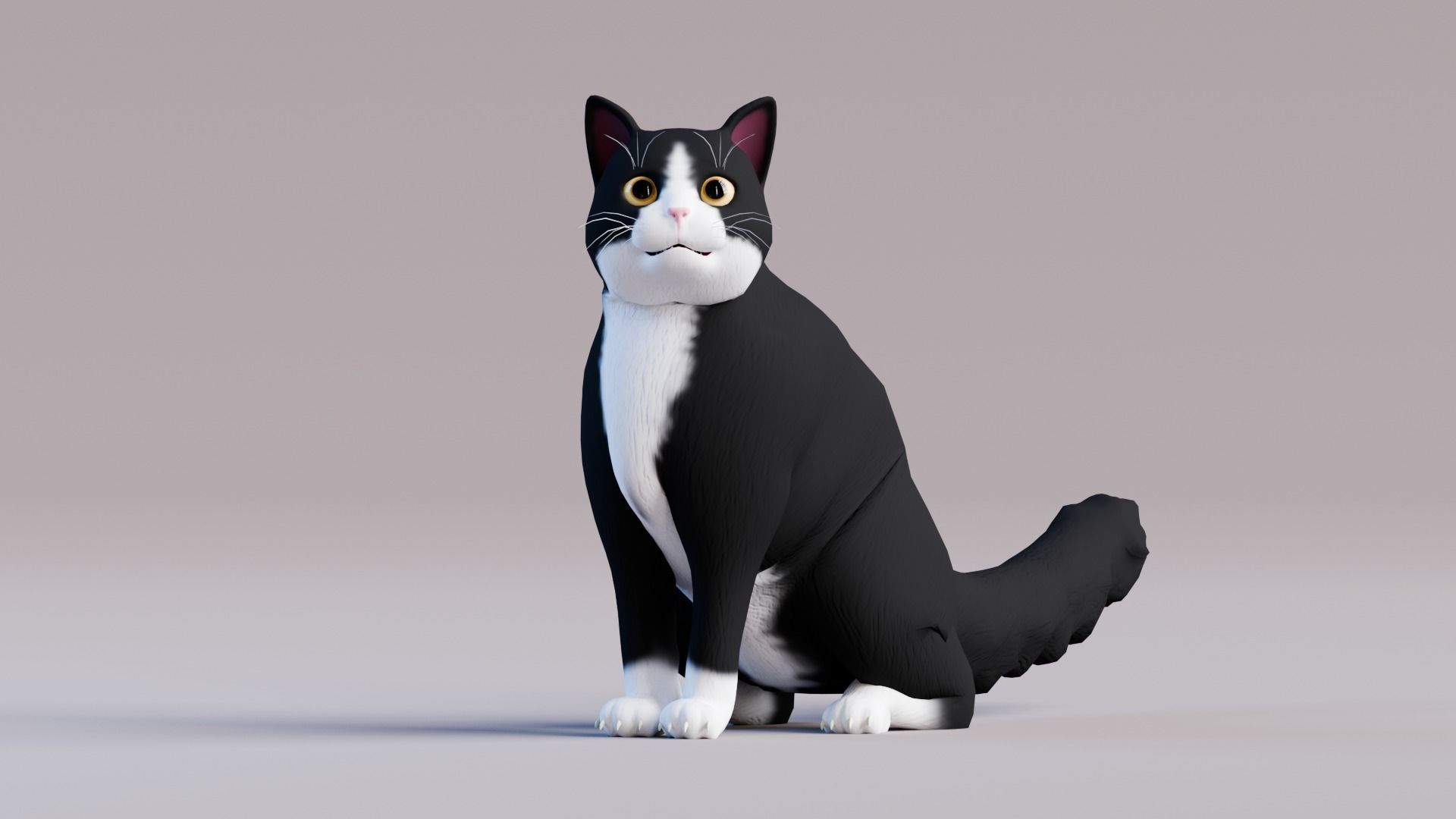 Stylized Cats - Bundle Edition Low-poly 3D model_13