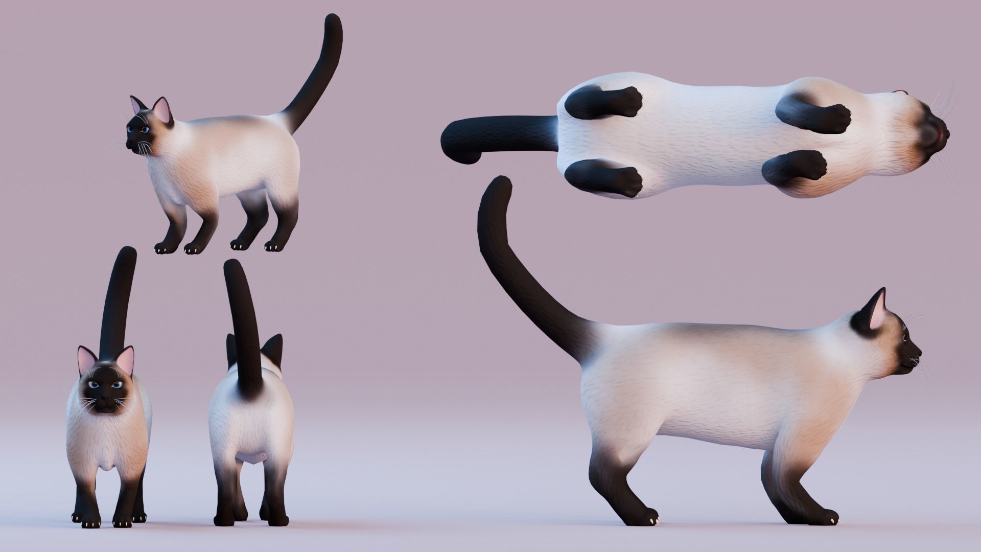 Stylized Cats - Bundle Edition Low-poly 3D model_75