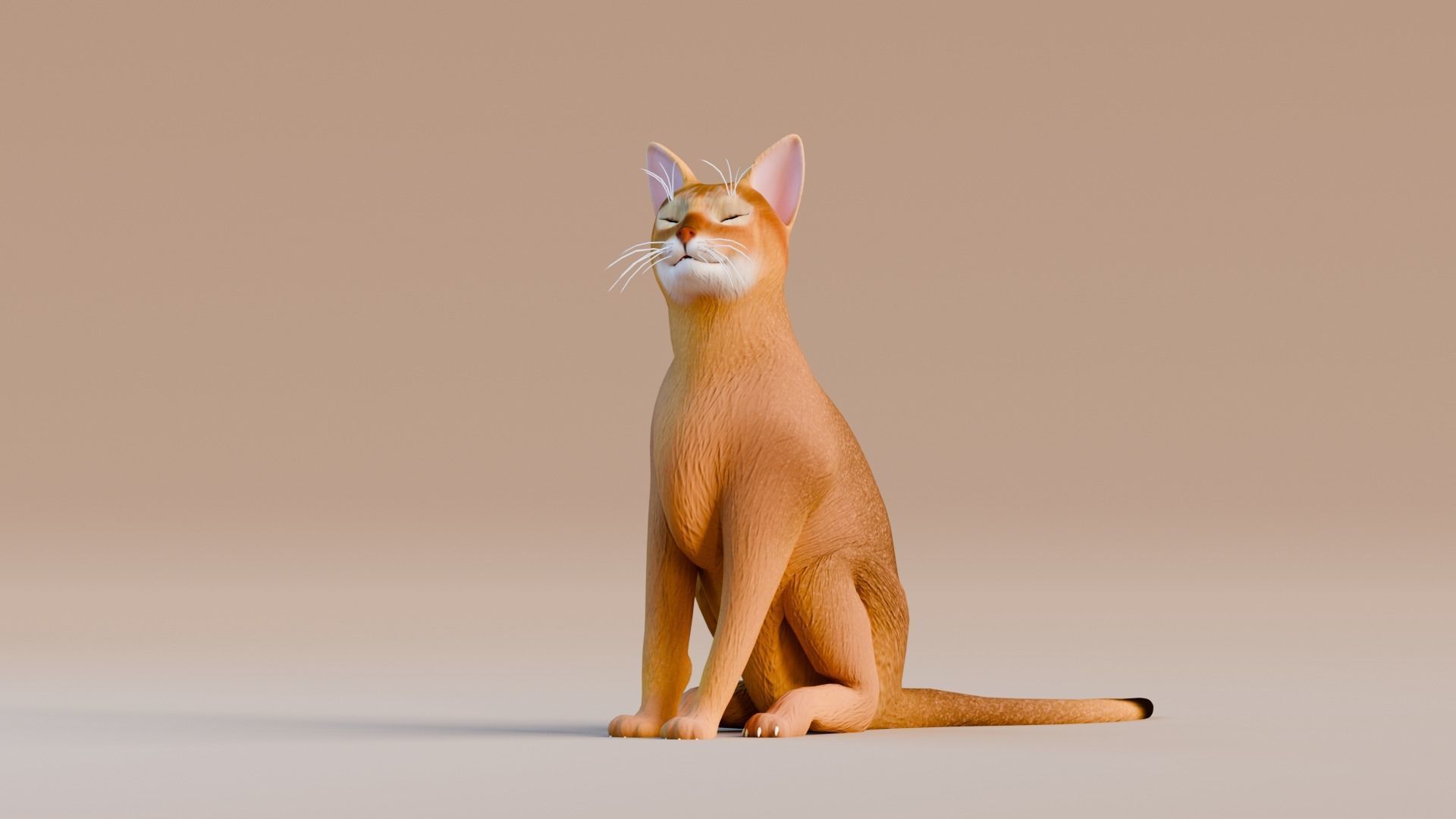 Stylized Cats - Bundle Edition Low-poly 3D model_2