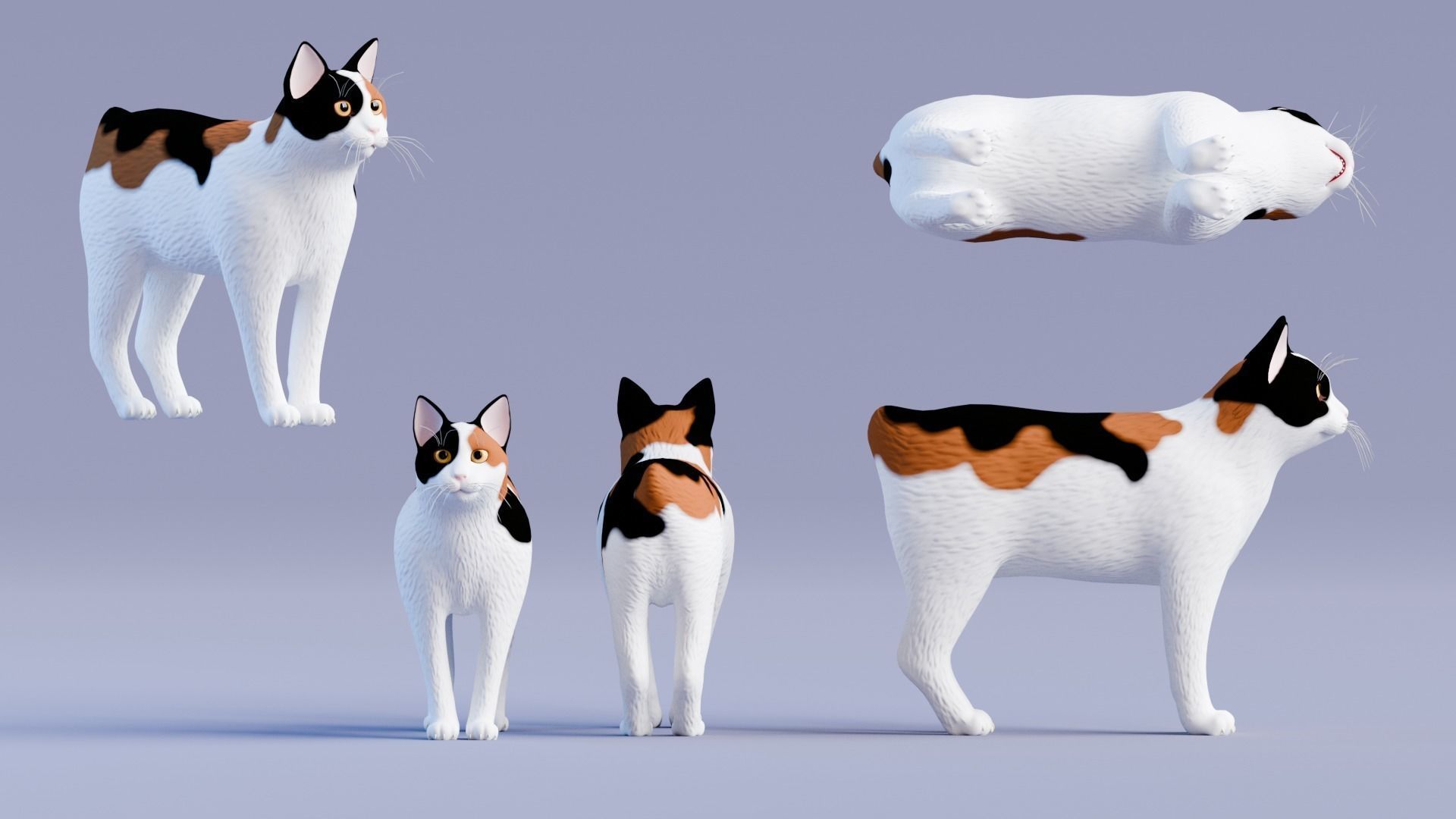 Stylized Cats - Bundle Edition Low-poly 3D model_39