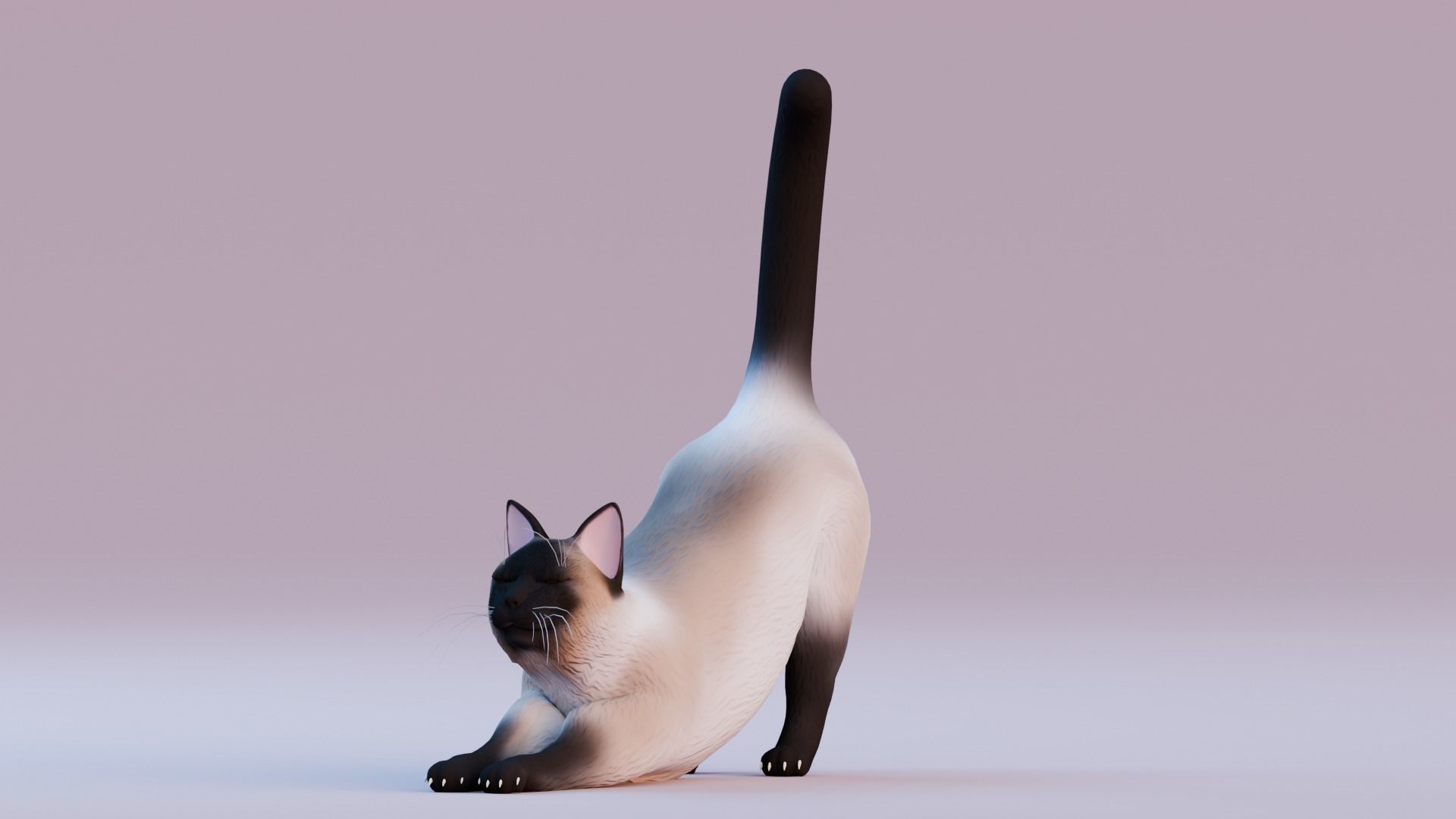 Stylized Cats - Bundle Edition Low-poly 3D model_74