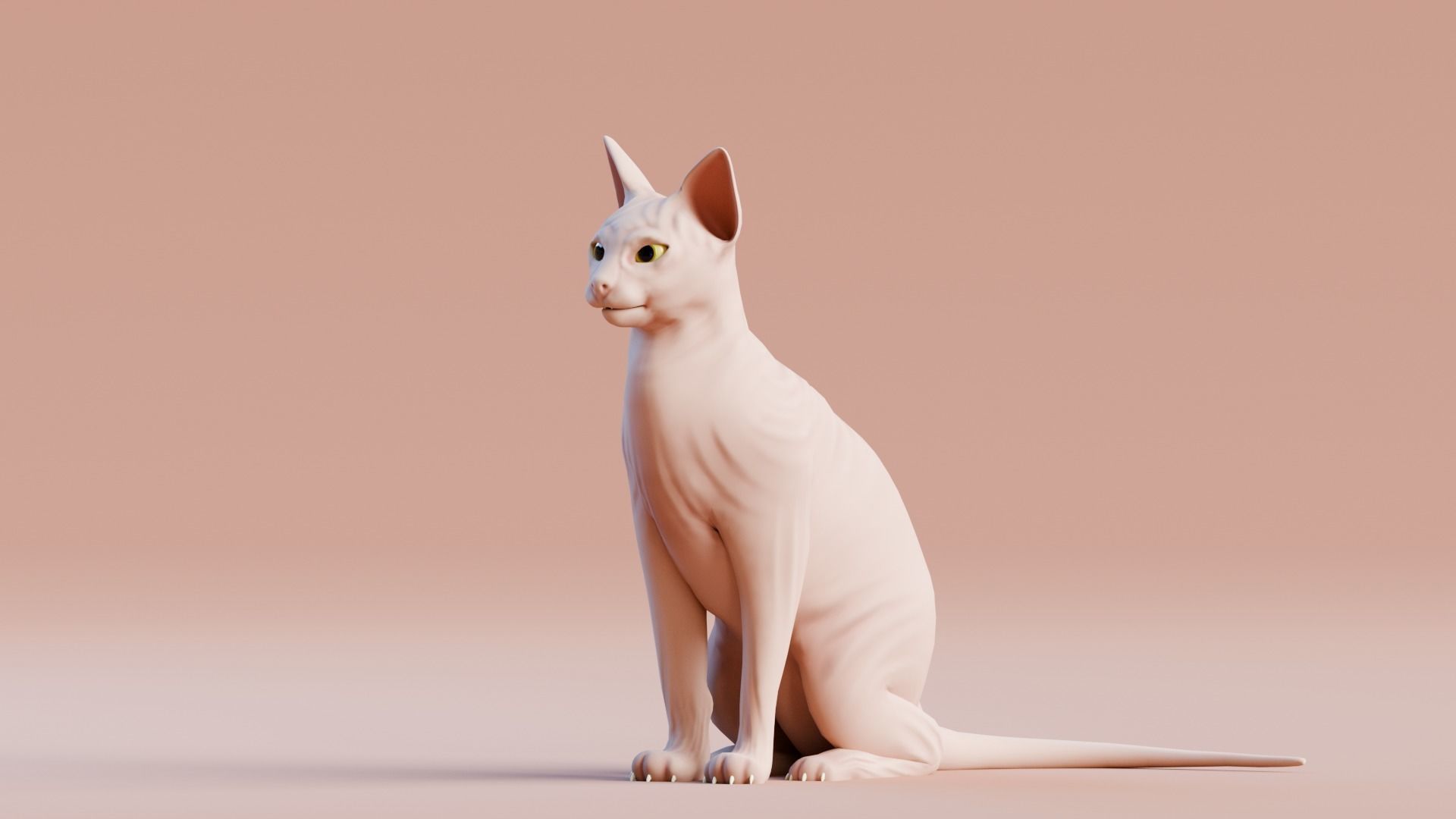 Stylized Cats - Bundle Edition Low-poly 3D model_89