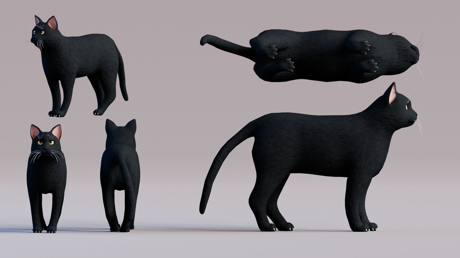 Stylized Cats - Bundle Edition Low-poly 3D model_21