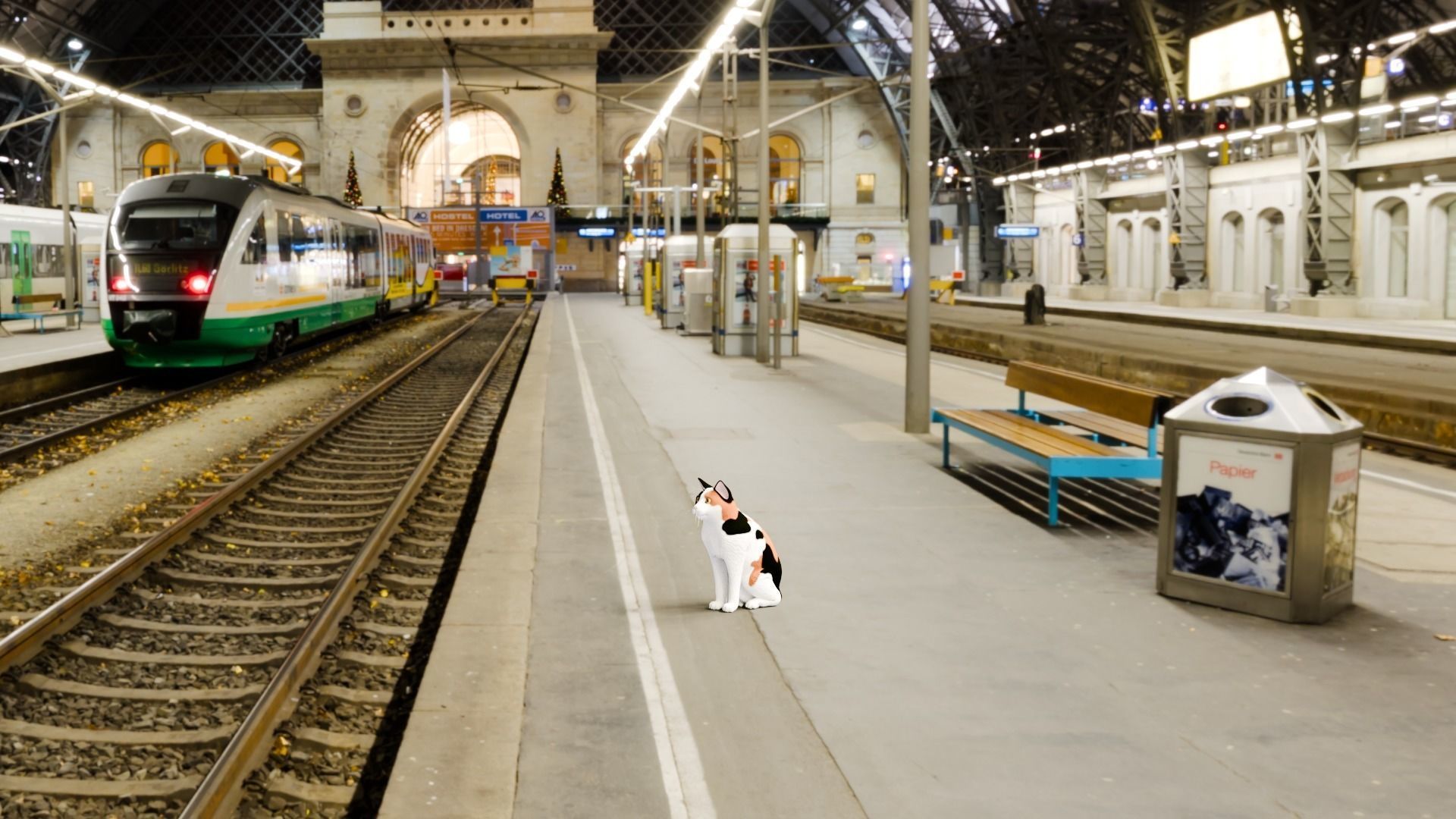 Stylized Cats - Bundle Edition Low-poly 3D model_42