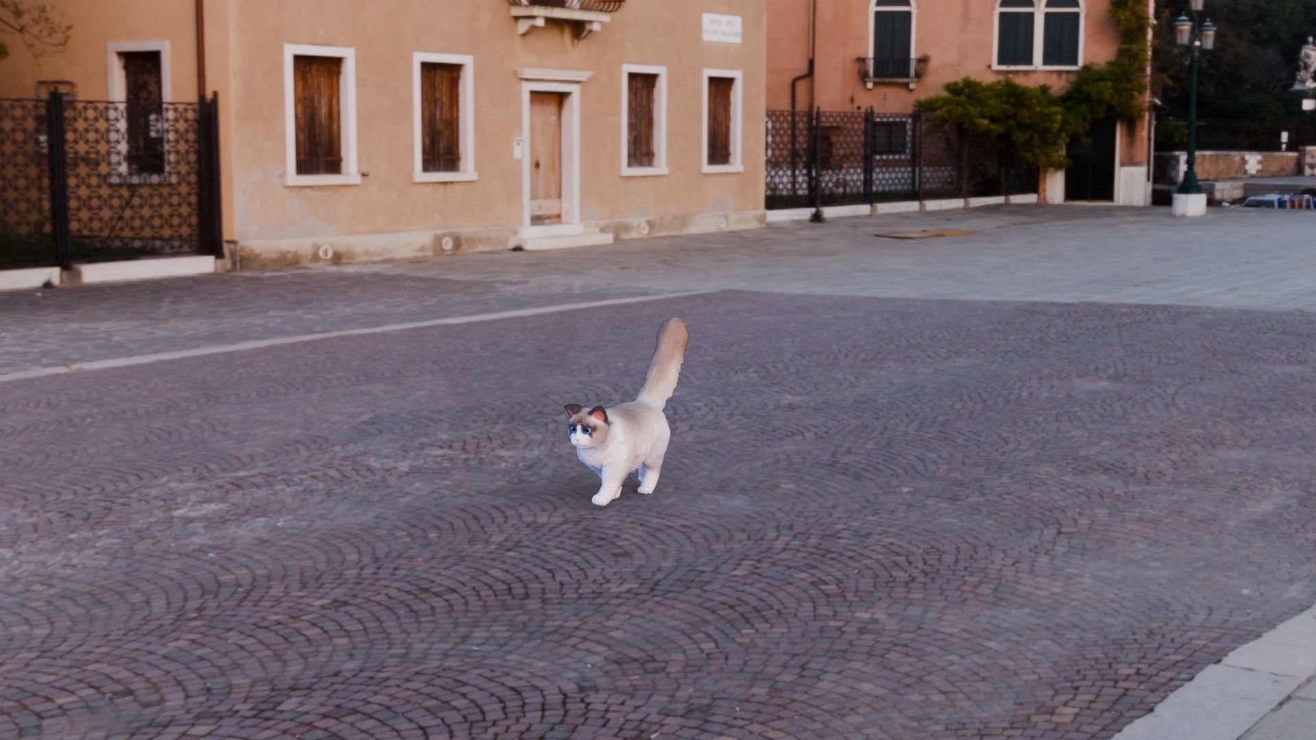 Stylized Cats - Bundle Edition Low-poly 3D model_72