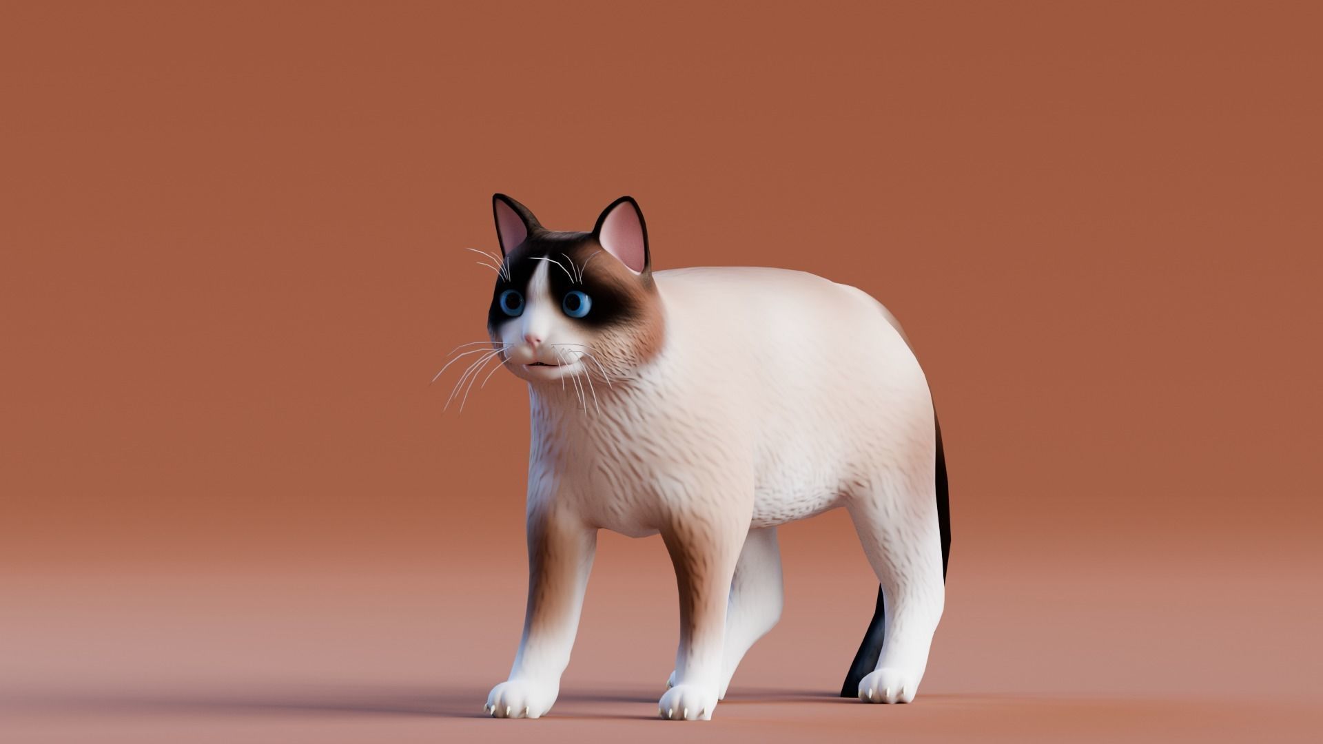 Stylized Cats - Bundle Edition Low-poly 3D model_79