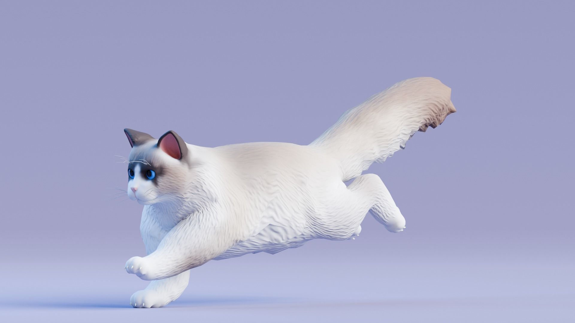 Stylized Cats - Bundle Edition Low-poly 3D model_68
