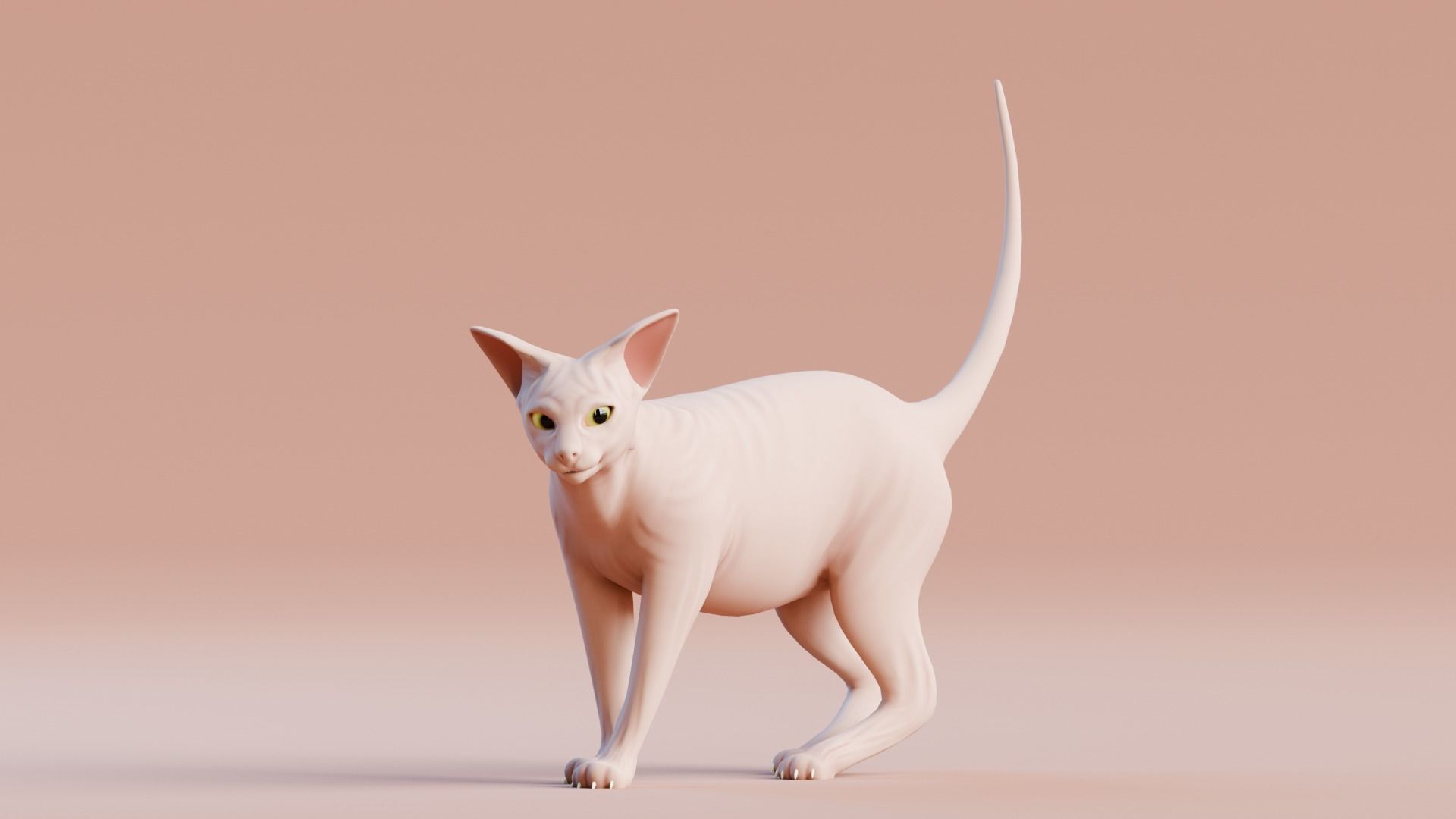 Stylized Cats - Bundle Edition Low-poly 3D model_87