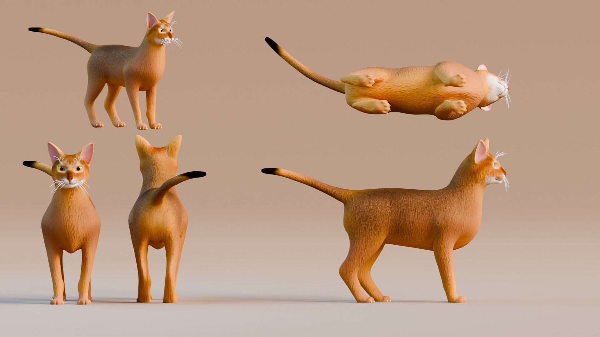 Stylized Cats - Bundle Edition Low-poly 3D model_3