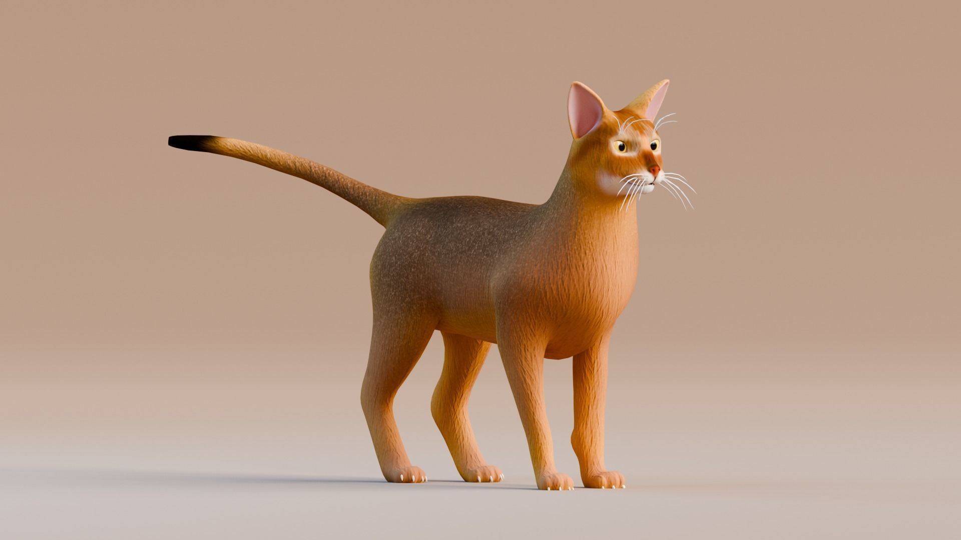 Stylized Cats - Bundle Edition Low-poly 3D model_1