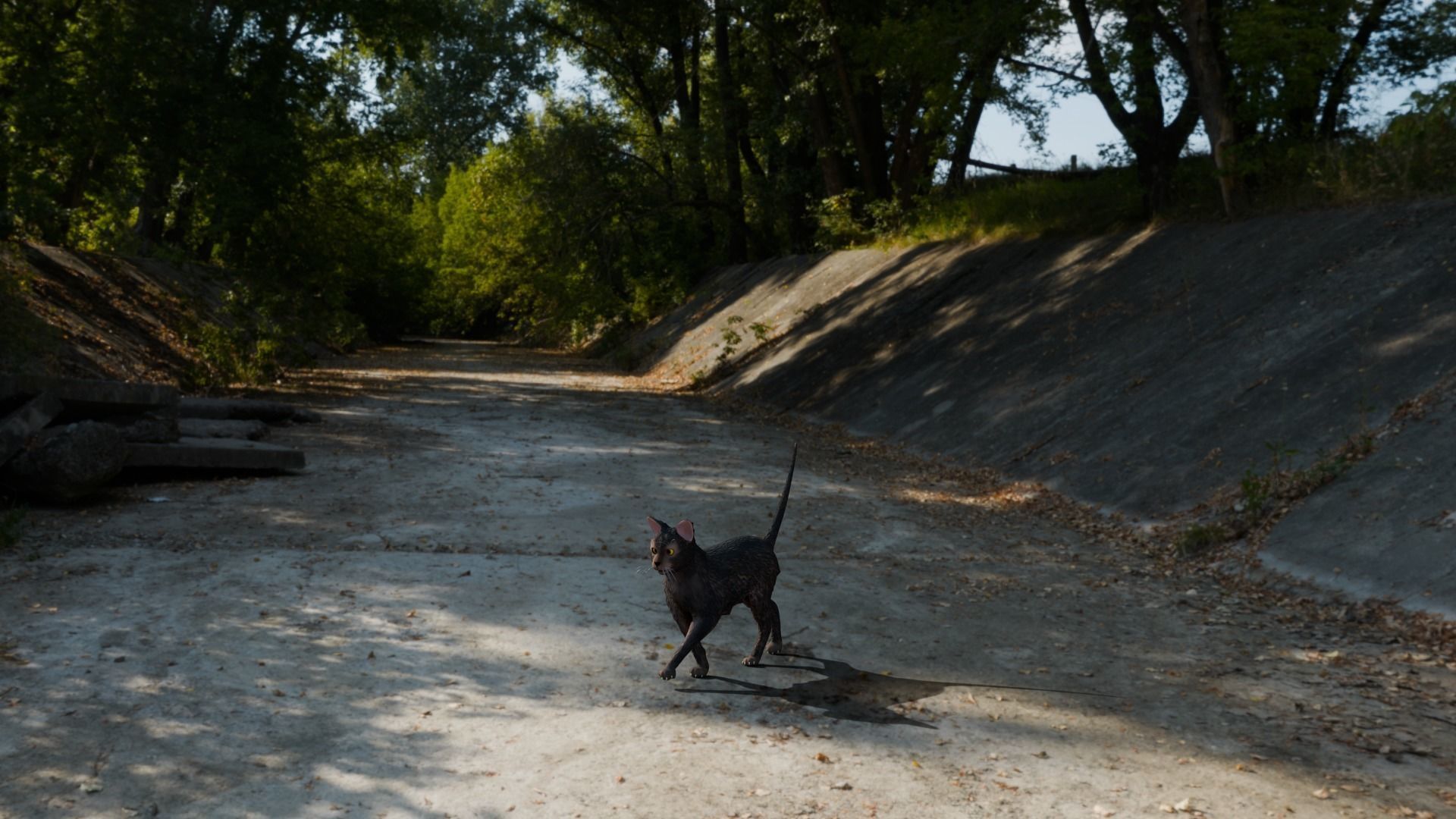 Stylized Cats - Bundle Edition Low-poly 3D model_54