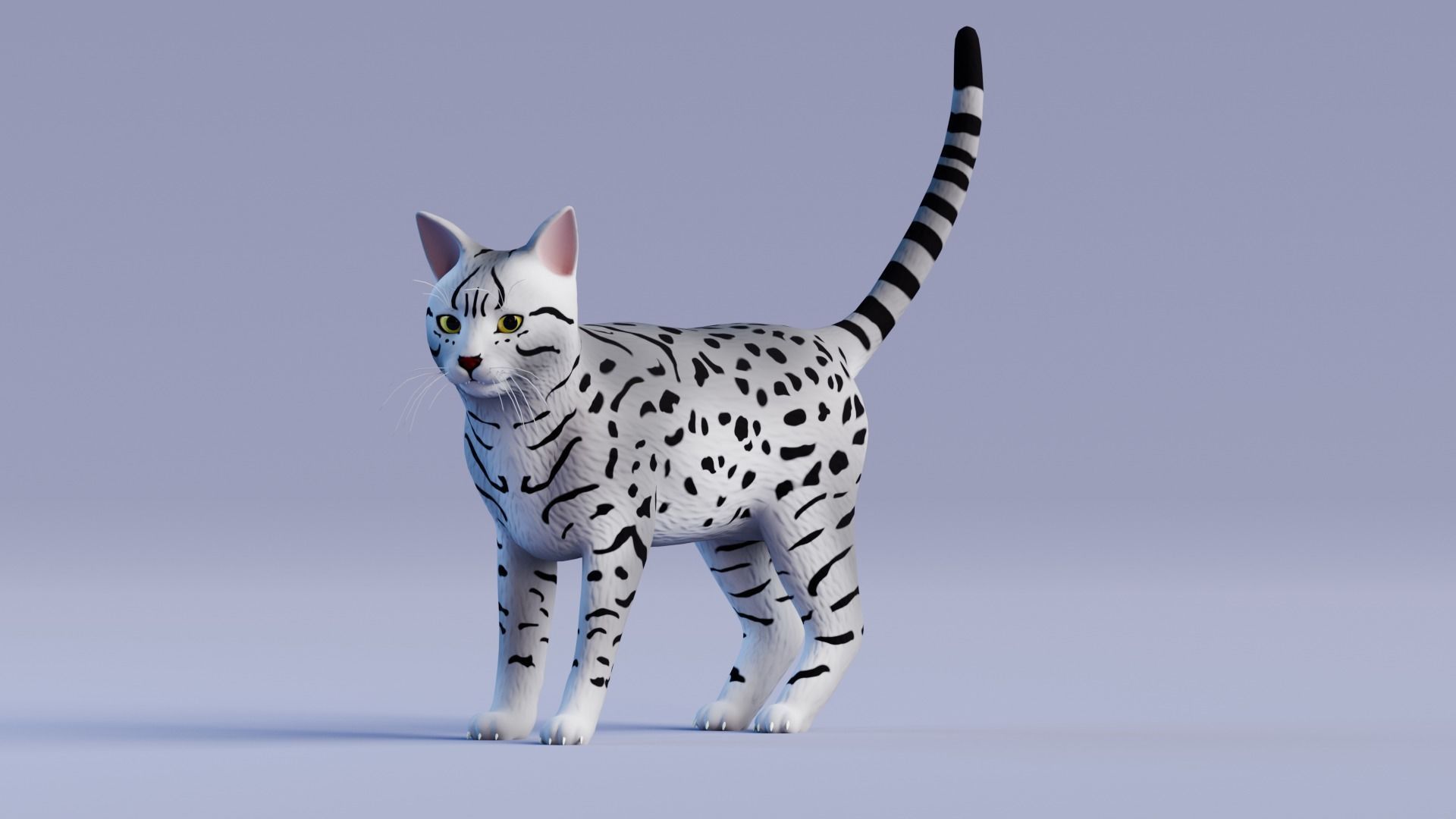 Stylized Cats - Bundle Edition Low-poly 3D model_31