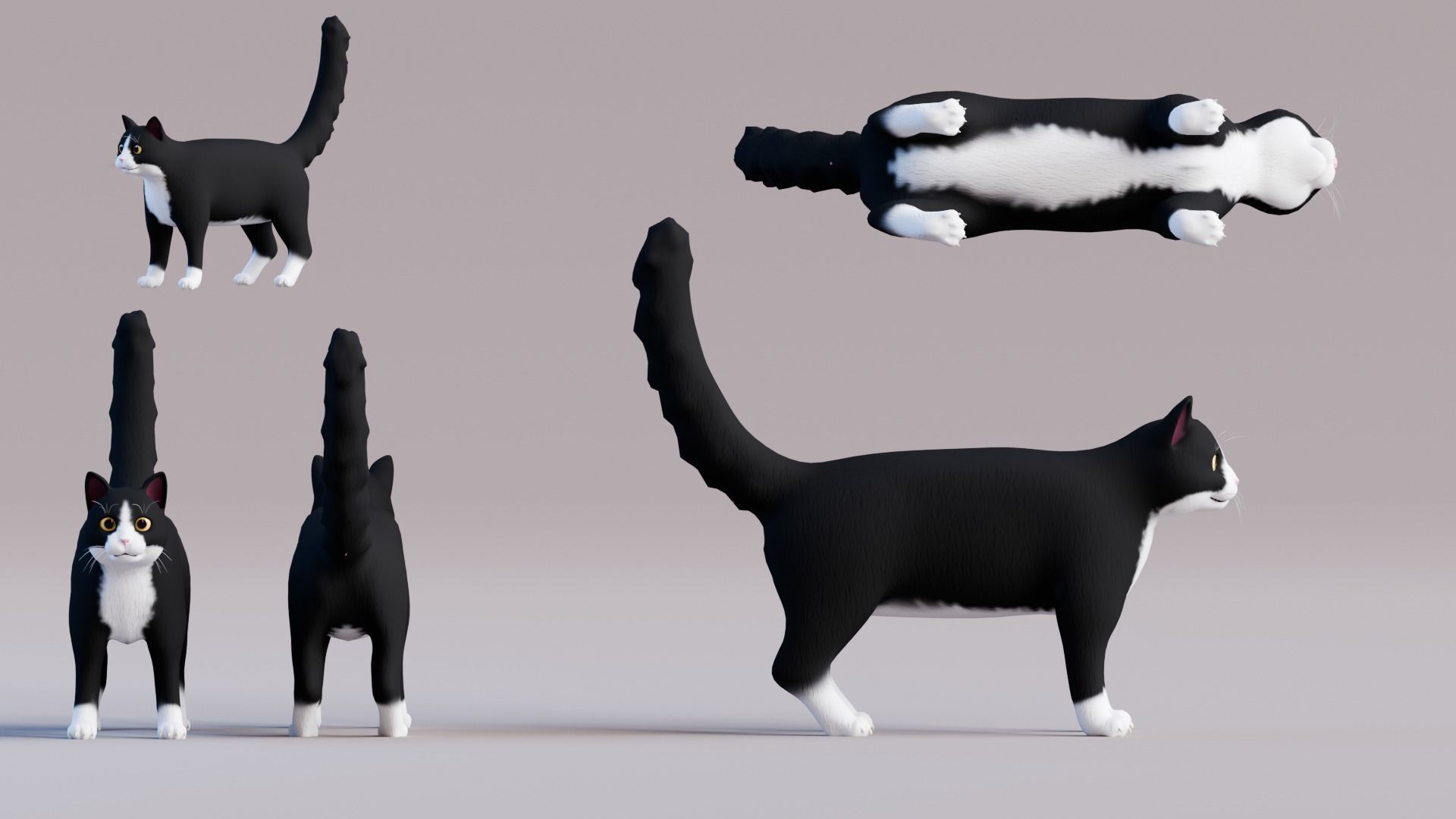 Stylized Cats - Bundle Edition Low-poly 3D model_15