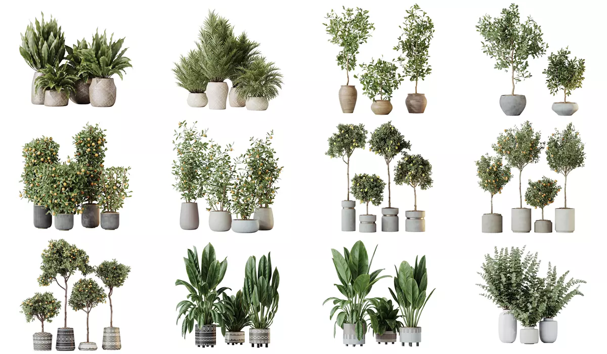 12 Different SETS of Plant Indoor SET VOL156 3D Model Collection_0