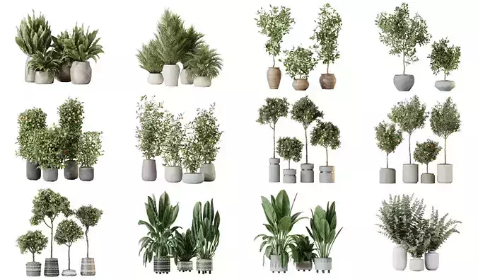 12 Different SETS of Plant Indoor SET VOL156 3D Model Collection