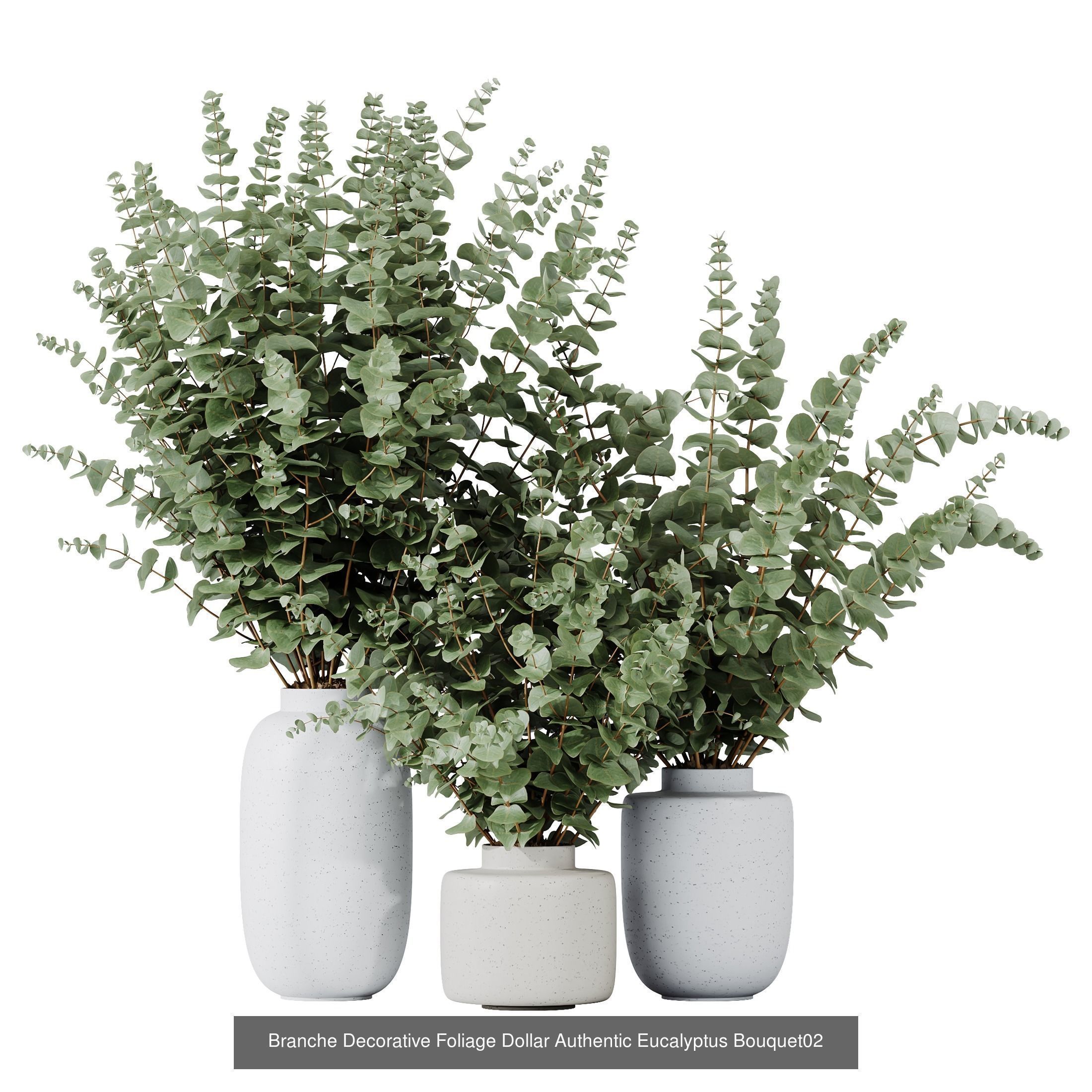 12 Different SETS of Plant Indoor SET VOL156 3D Model Collection_3