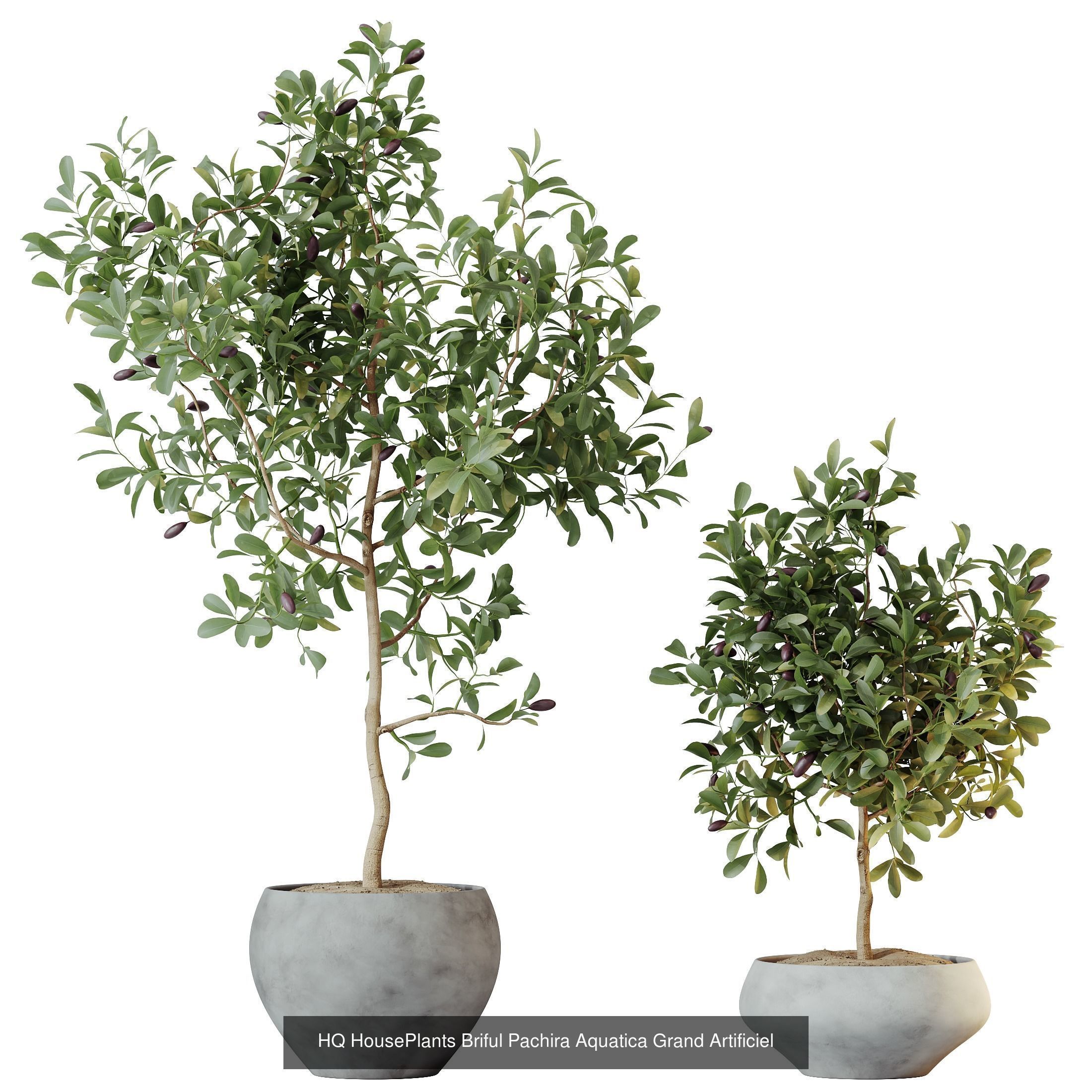 12 Different SETS of Plant Indoor SET VOL156 3D Model Collection_11