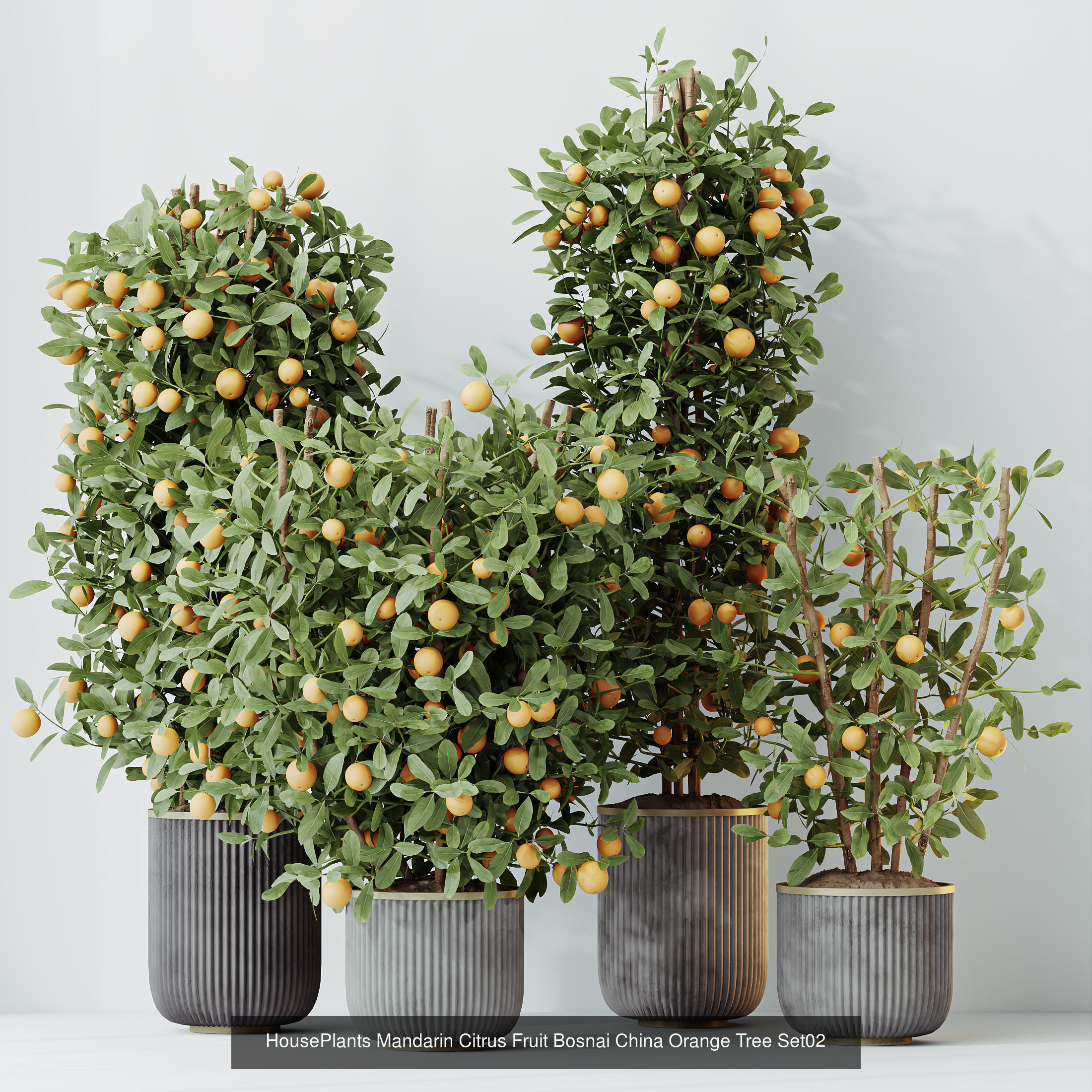 12 Different SETS of Plant Indoor SET VOL156 3D Model Collection_10