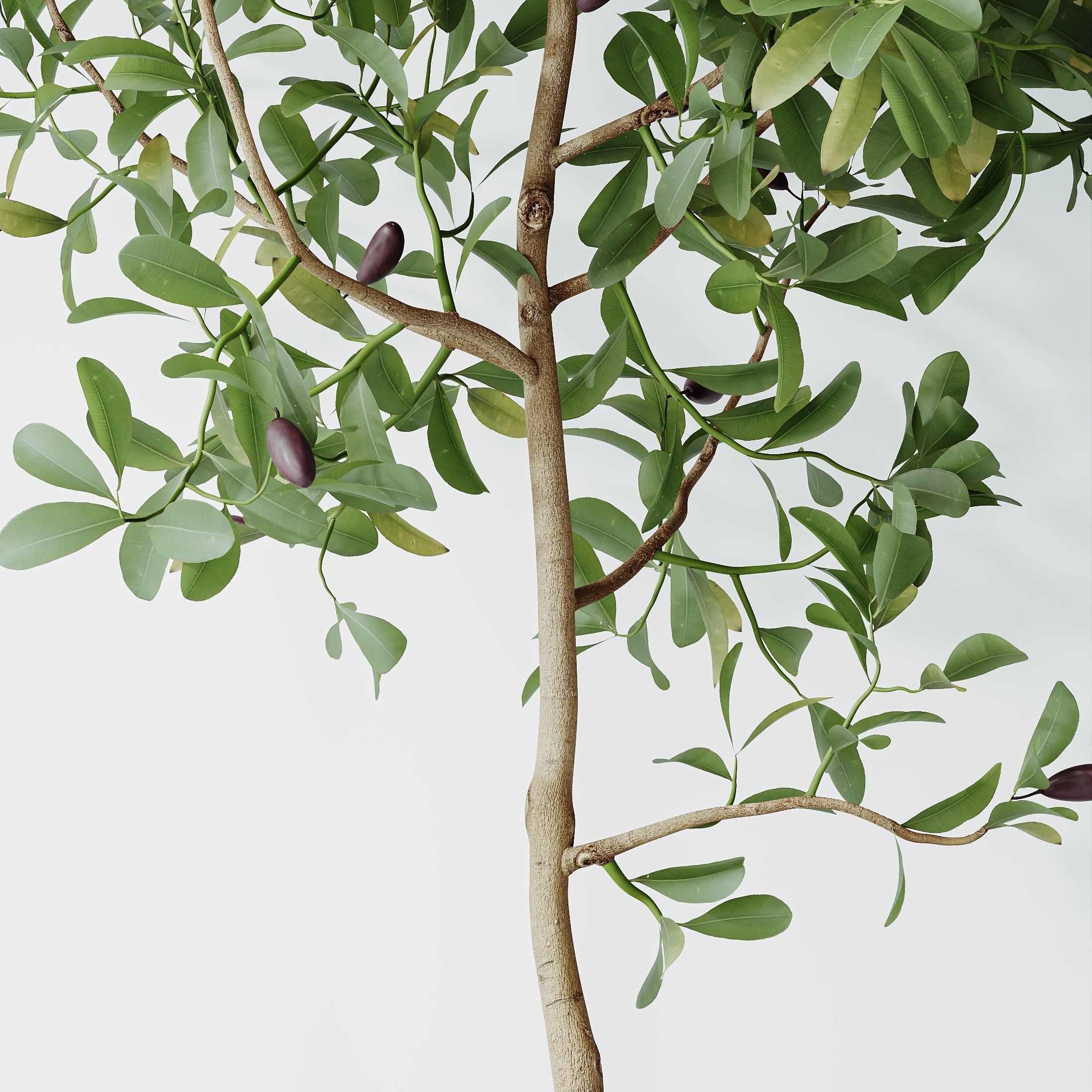 12 Different SETS of Plant Indoor SET VOL156 3D Model Collection_30