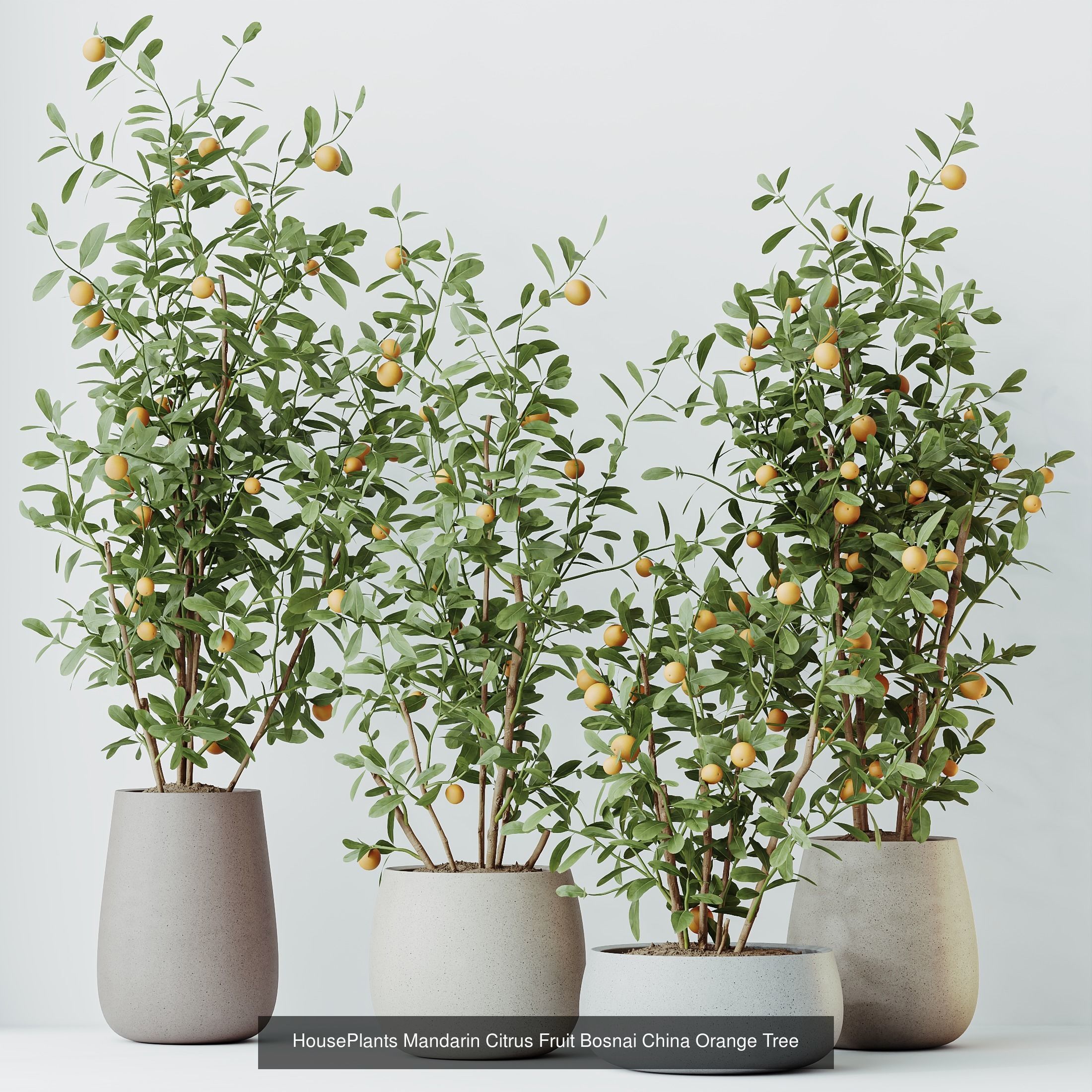 12 Different SETS of Plant Indoor SET VOL156 3D Model Collection_9