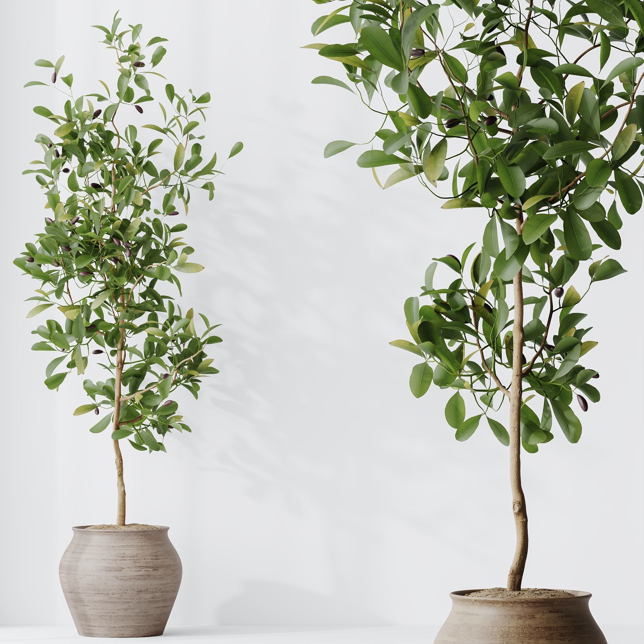 12 Different SETS of Plant Indoor SET VOL156 3D Model Collection_18