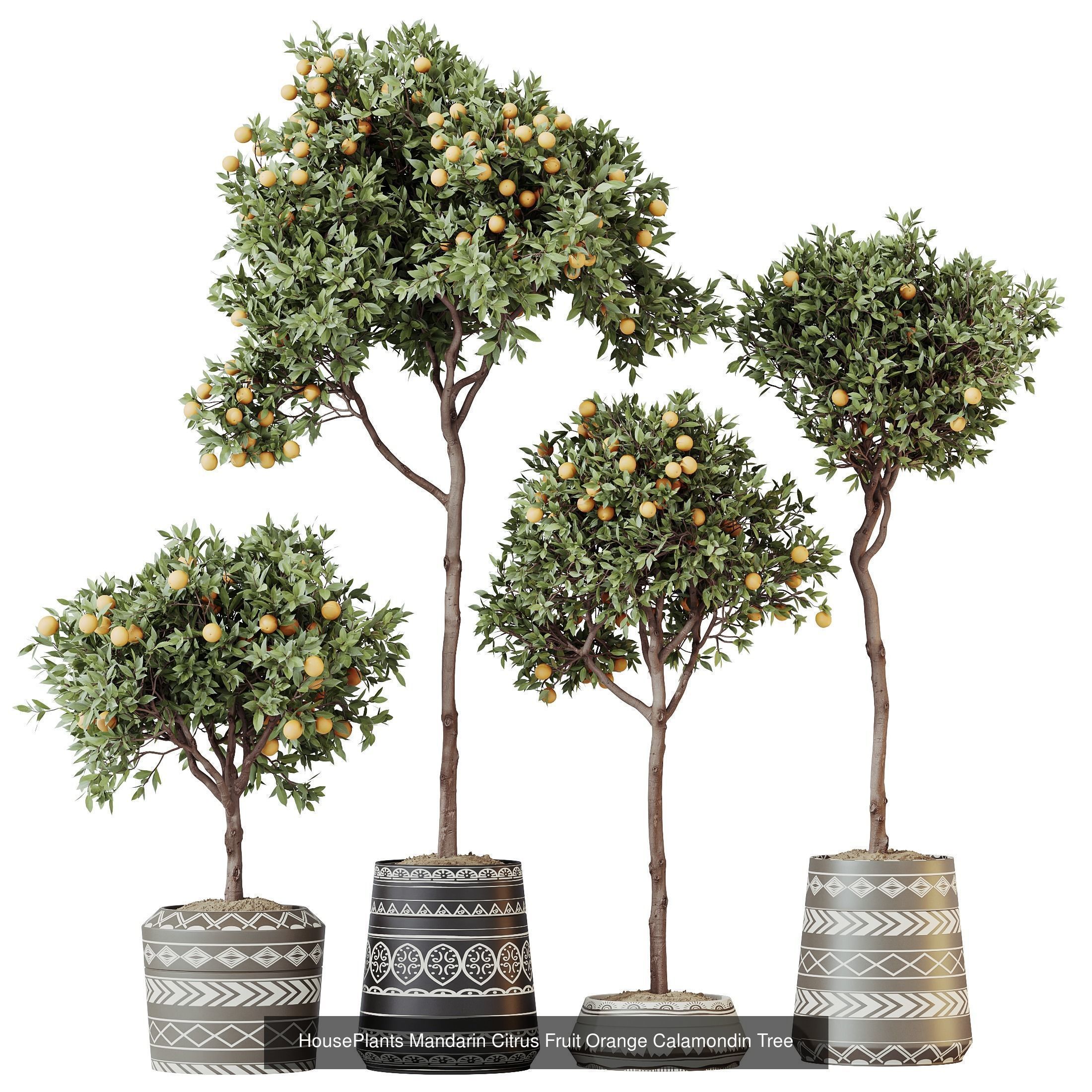 12 Different SETS of Plant Indoor SET VOL156 3D Model Collection_6