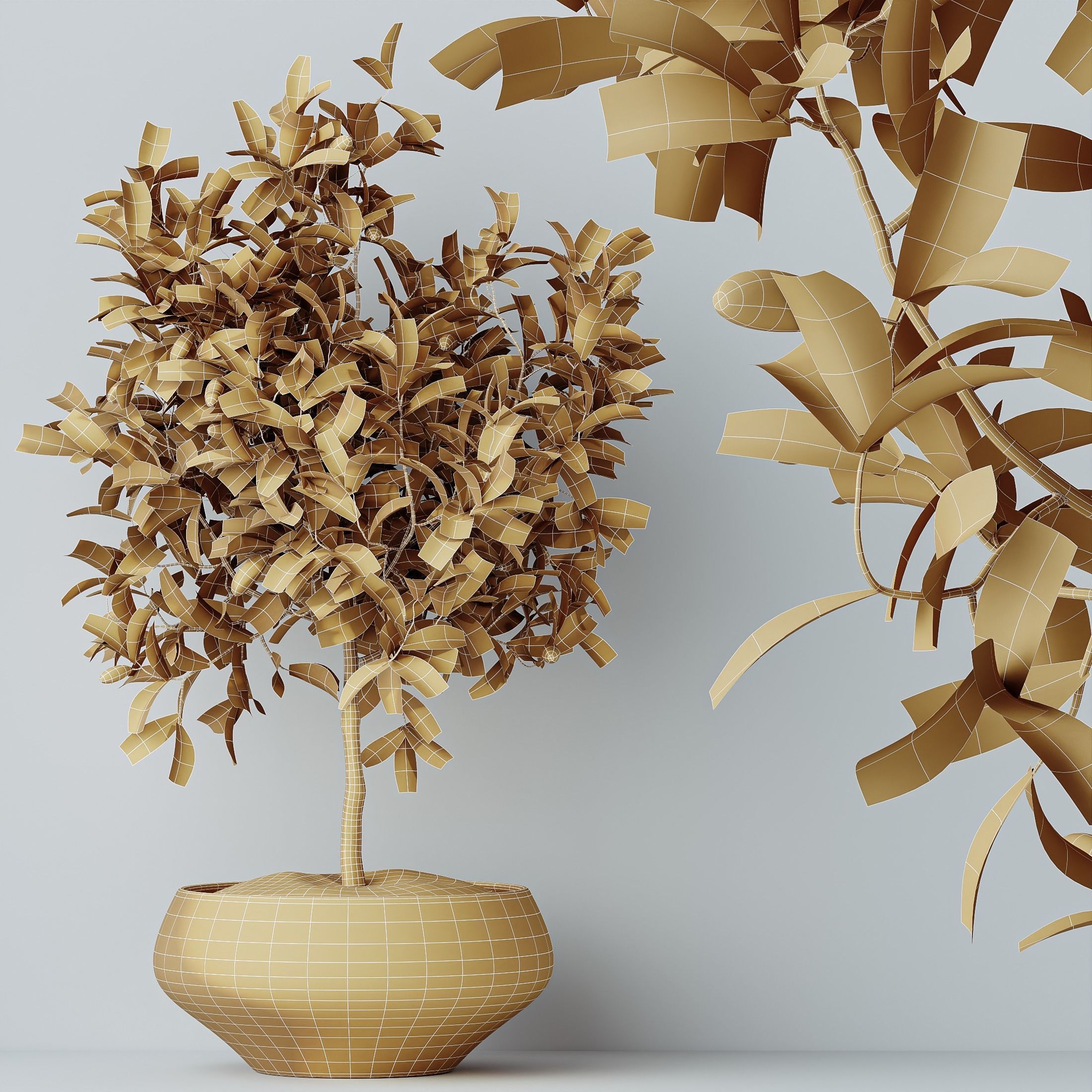 12 Different SETS of Plant Indoor SET VOL156 3D Model Collection_48