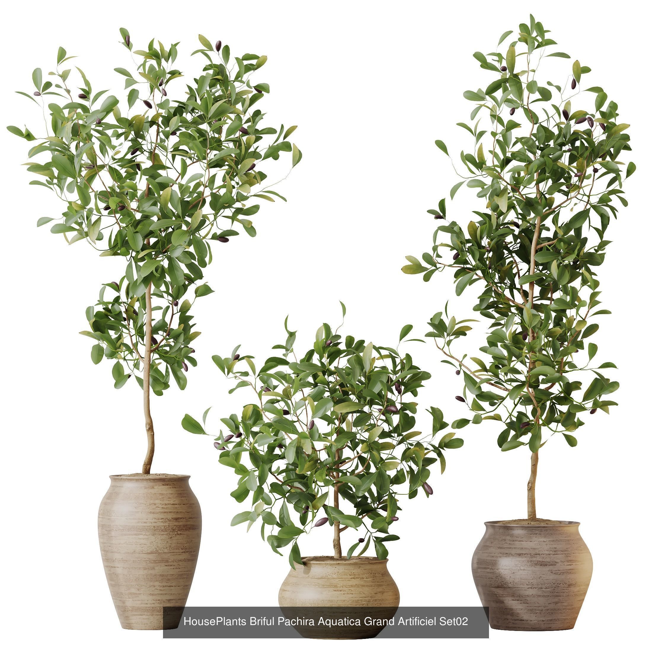 12 Different SETS of Plant Indoor SET VOL156 3D Model Collection_12