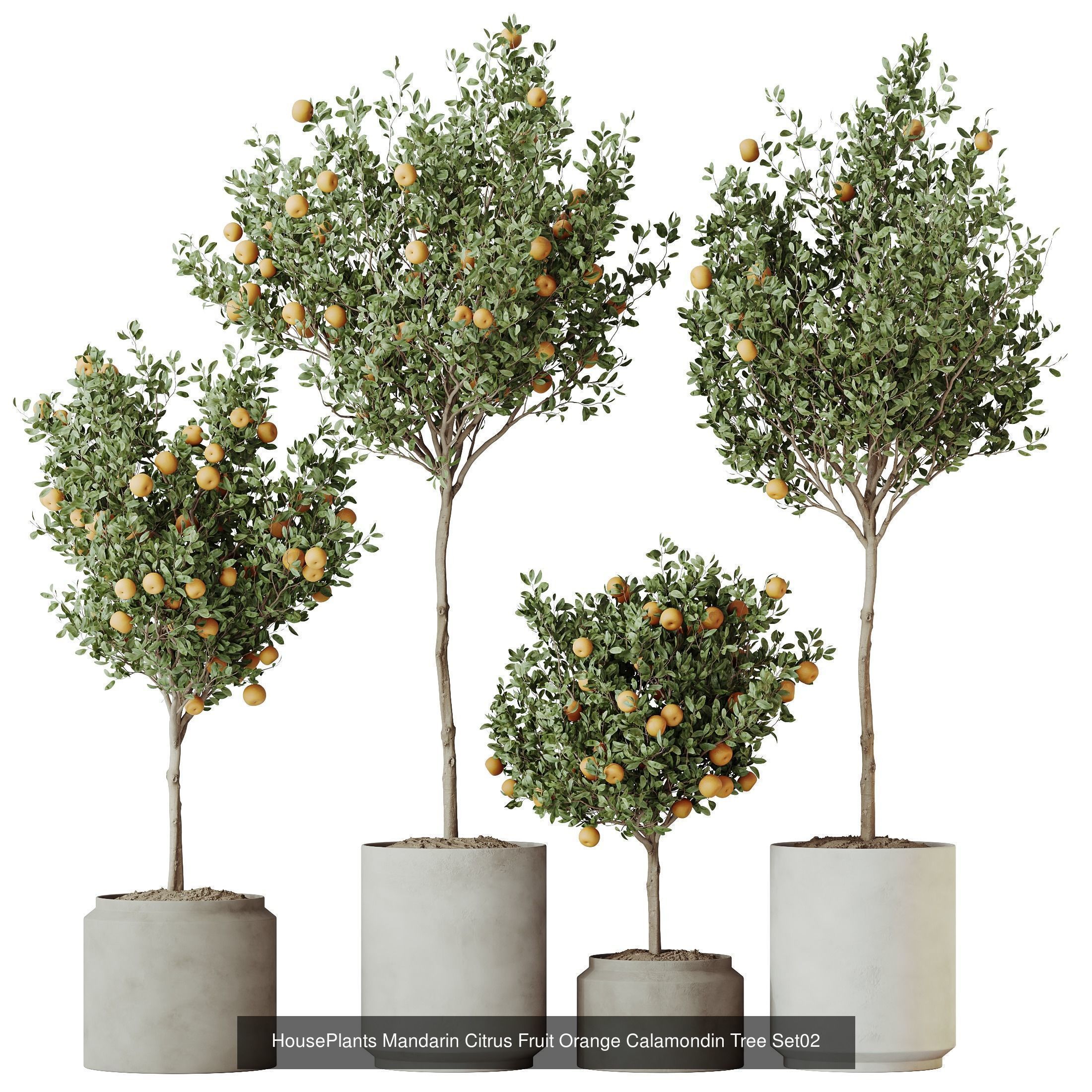 12 Different SETS of Plant Indoor SET VOL156 3D Model Collection_7