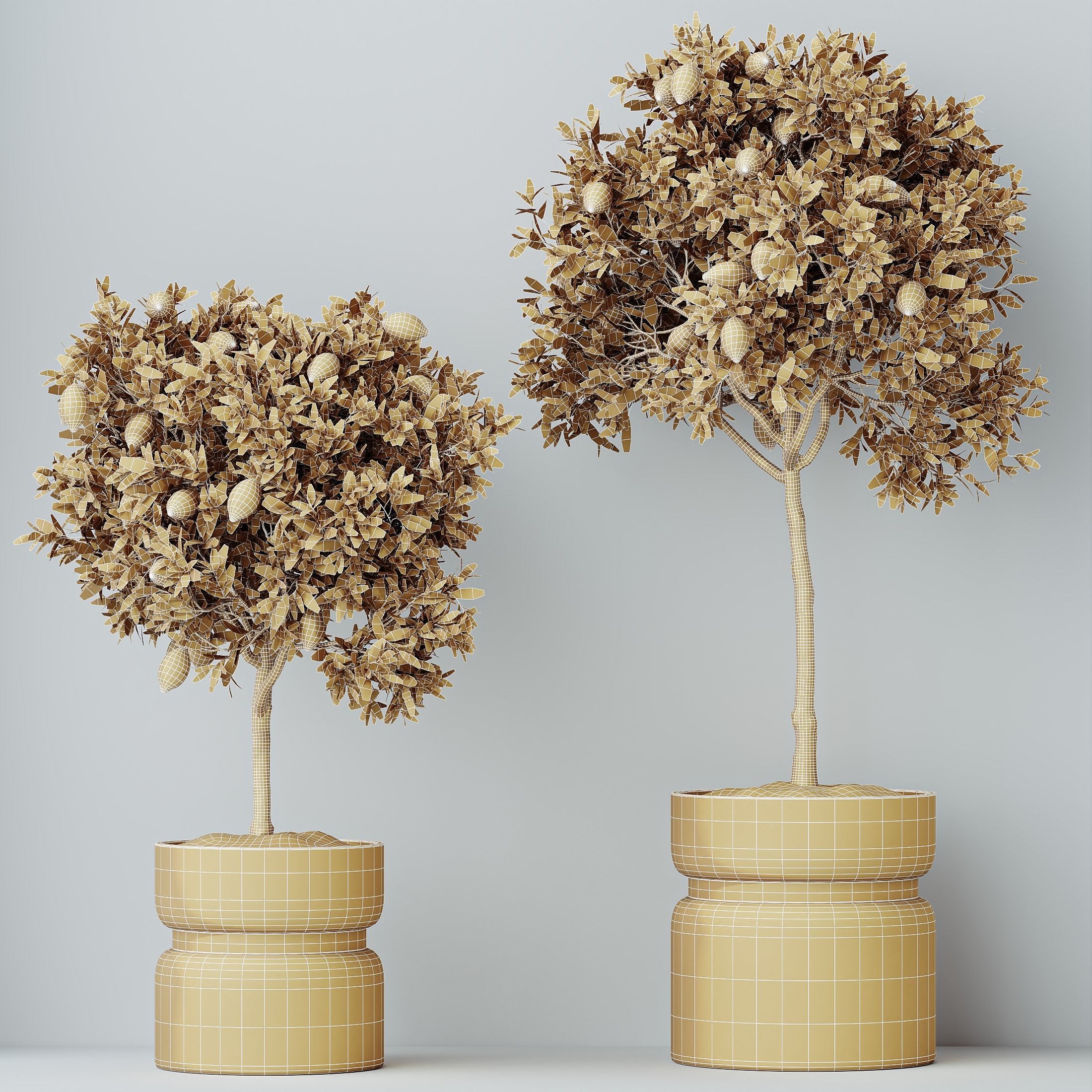 12 Different SETS of Plant Indoor SET VOL156 3D Model Collection_44