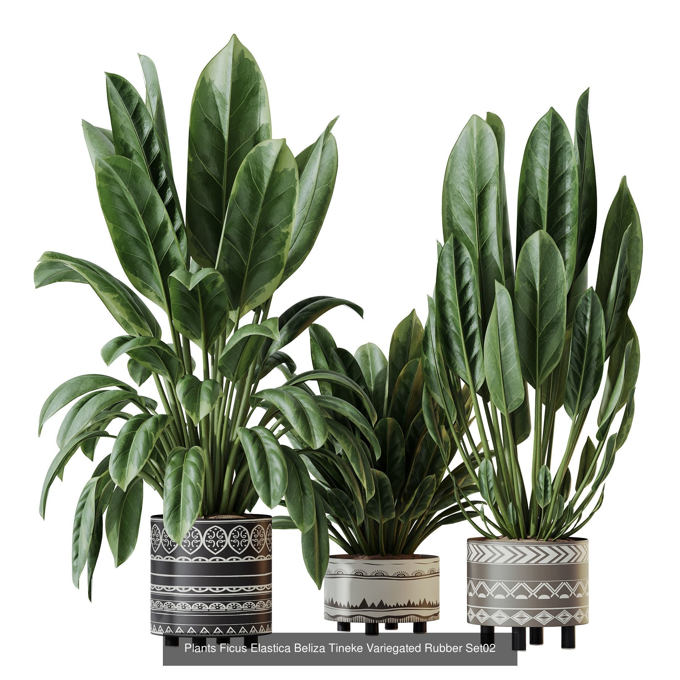 12 Different SETS of Plant Indoor SET VOL156 3D Model Collection_5