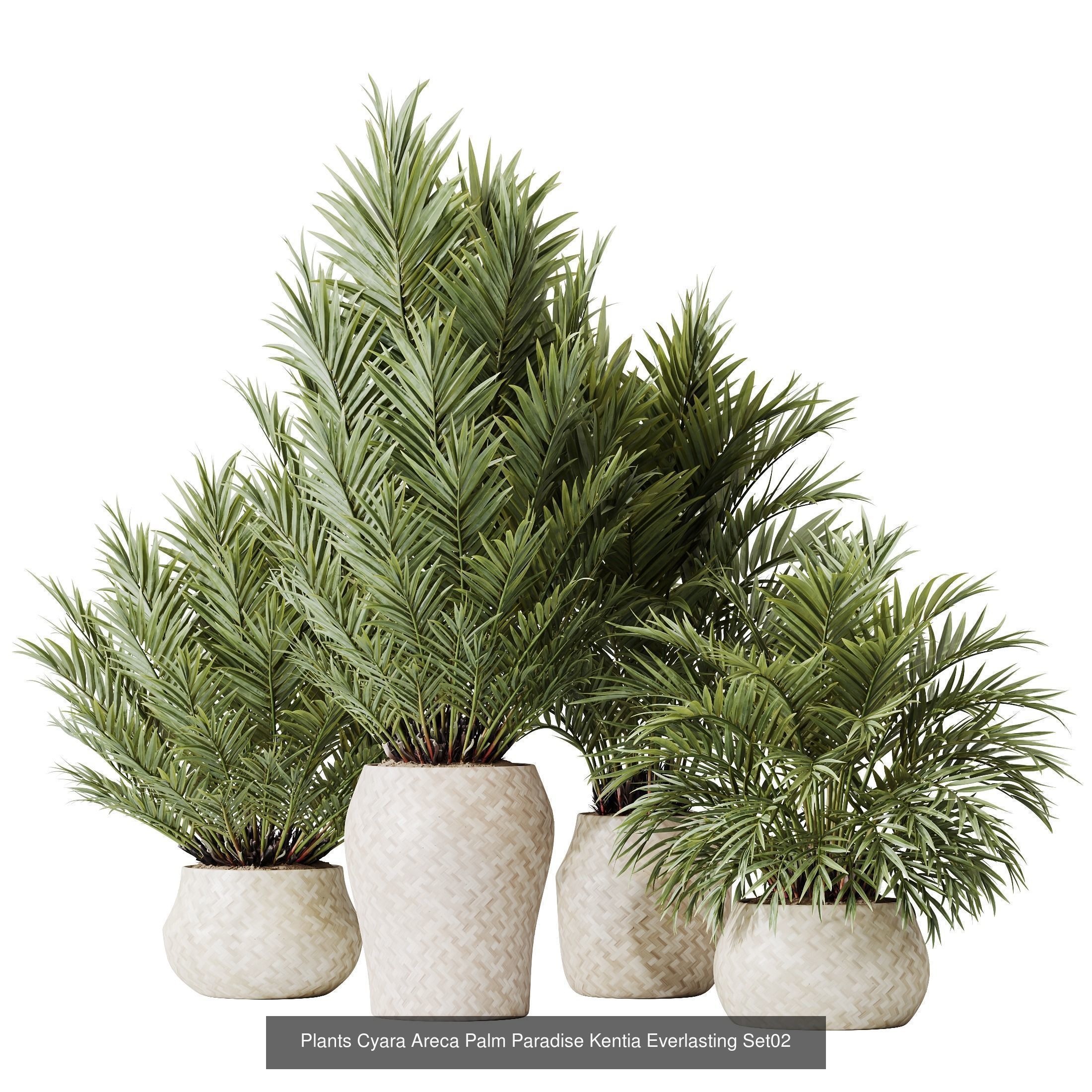 12 Different SETS of Plant Indoor SET VOL156 3D Model Collection_1