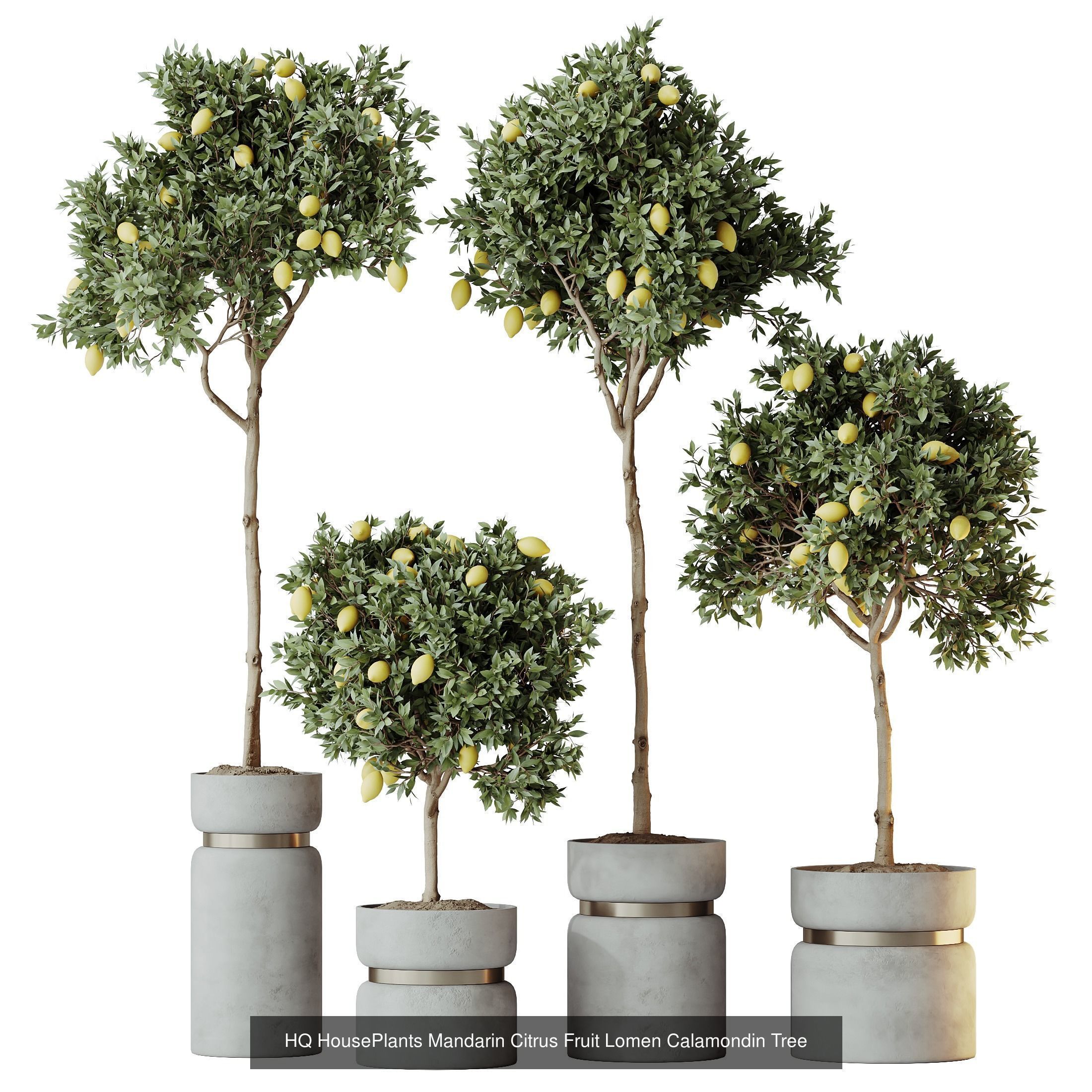 12 Different SETS of Plant Indoor SET VOL156 3D Model Collection_8